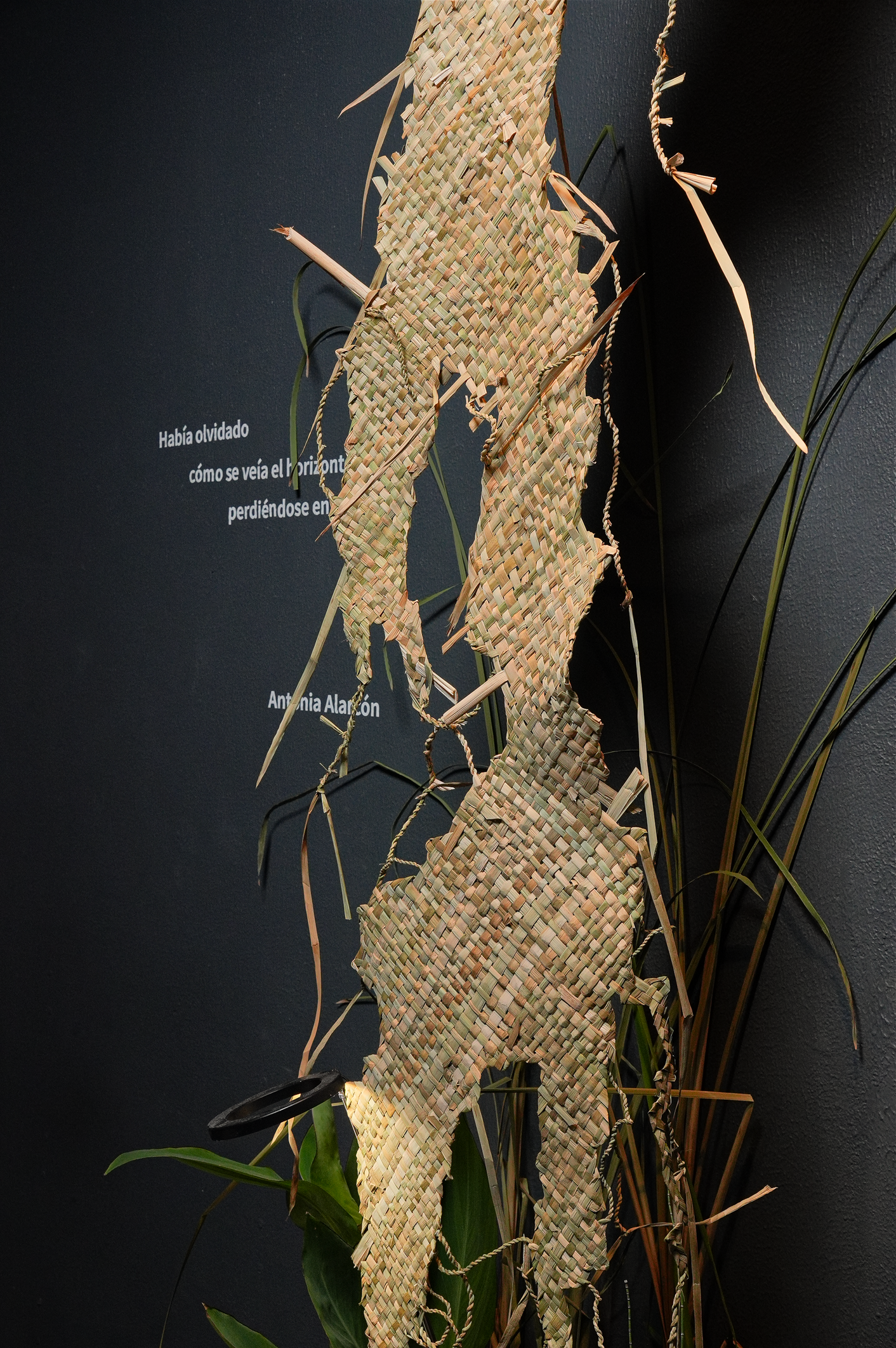 Había olvidado cómo se veía el horizonte perdiéndose en el cielo__Servidor Local