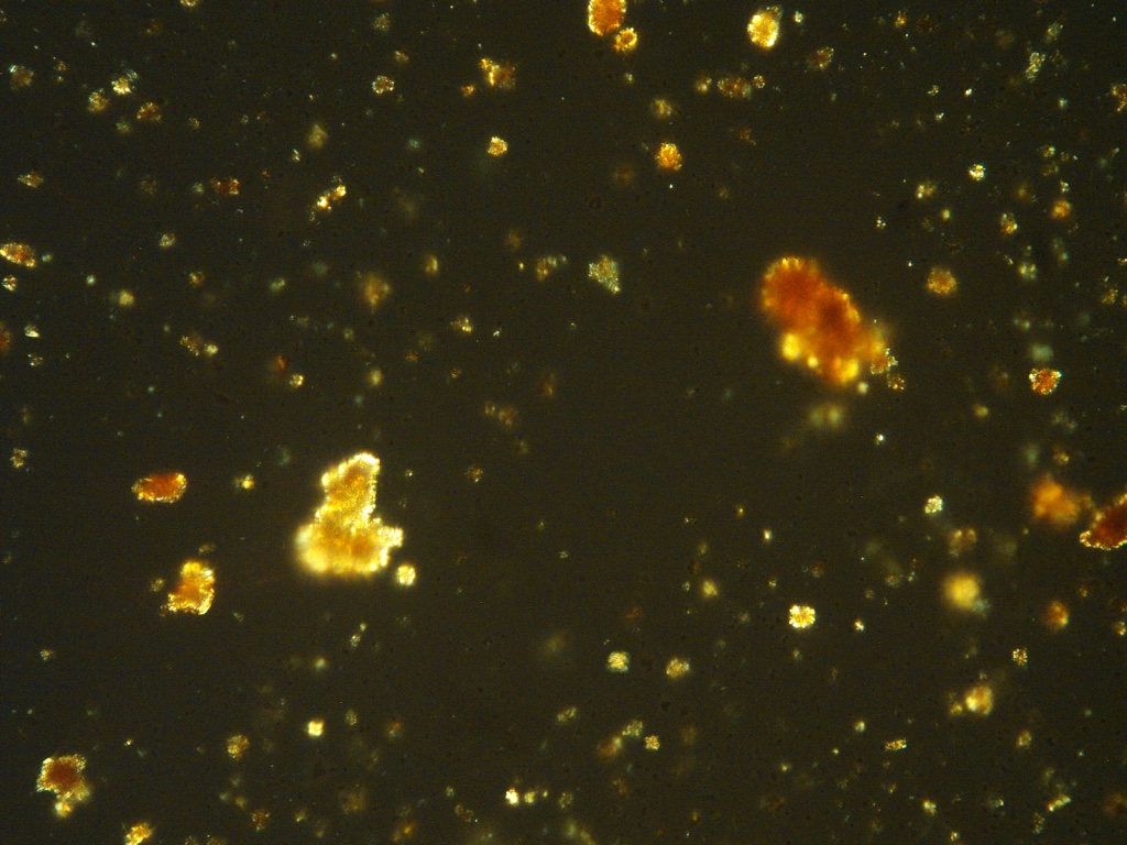 Tan-y-Garn Ferrihydrite Digital photograph Cross-Polarised Light (XPL) x1000, Field of view 0.1 mm