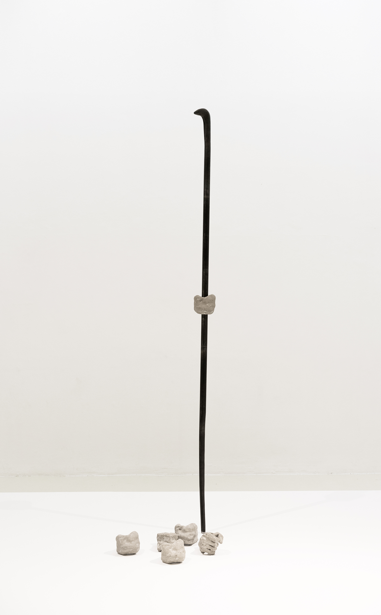 Snake, Oxidized Metal, cement, 220 x 4 x 4, 2017