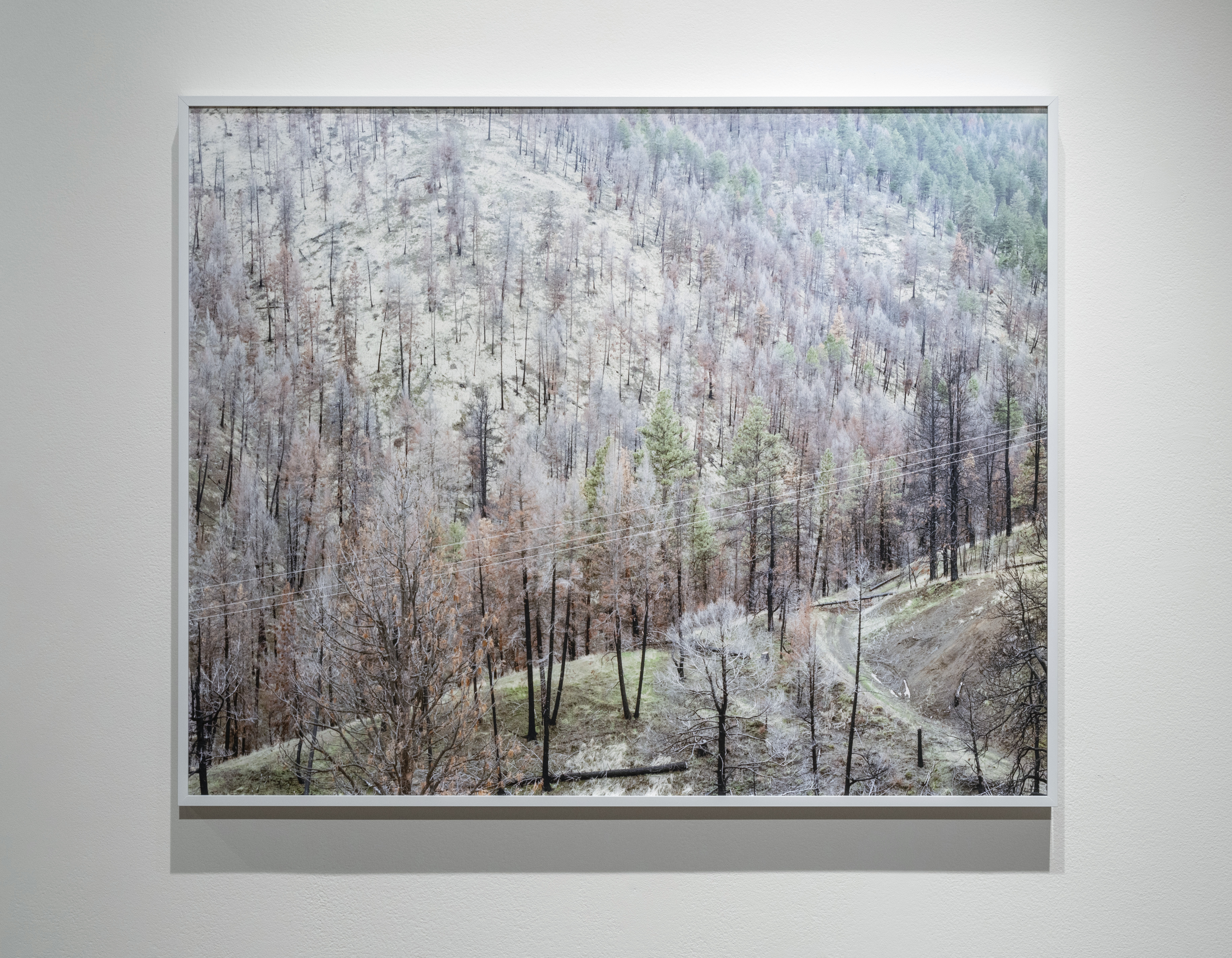 Images from To light and then return, Painted Hooves, Visual Arts Center, Austin, Texas, May 2022