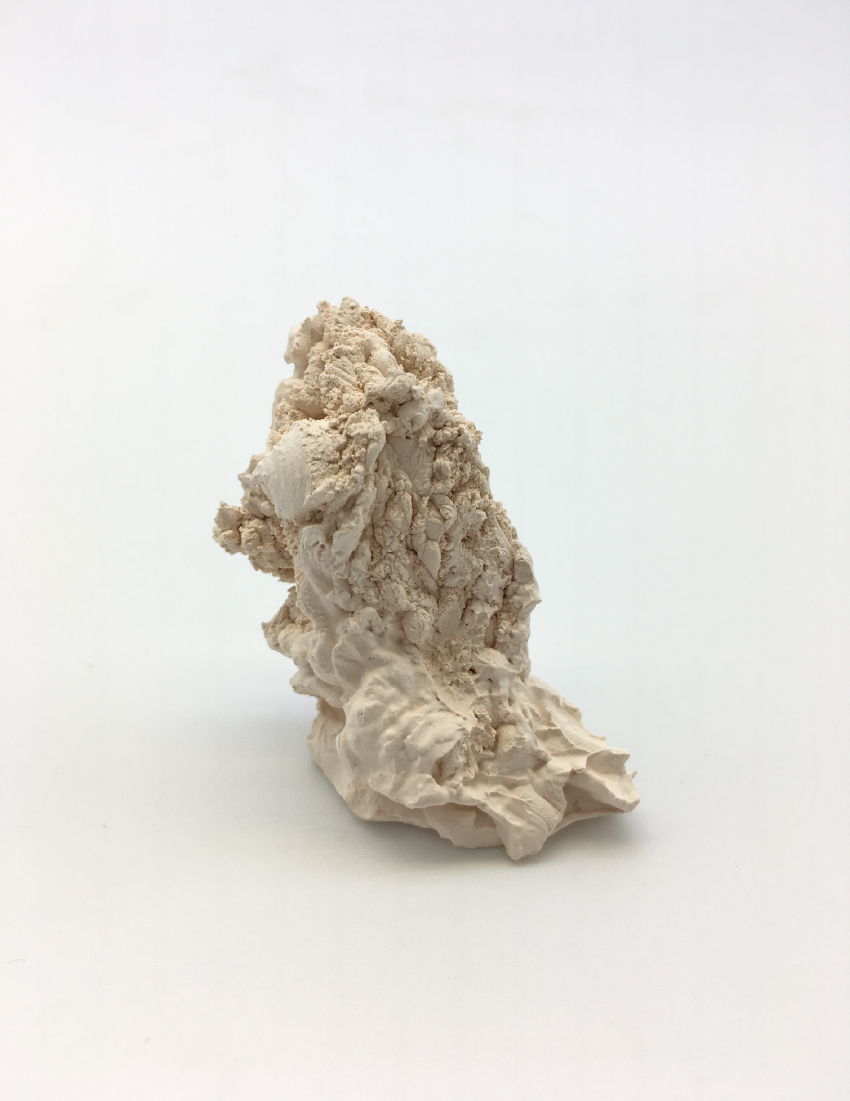 «SEA CREATURE» ©조희진