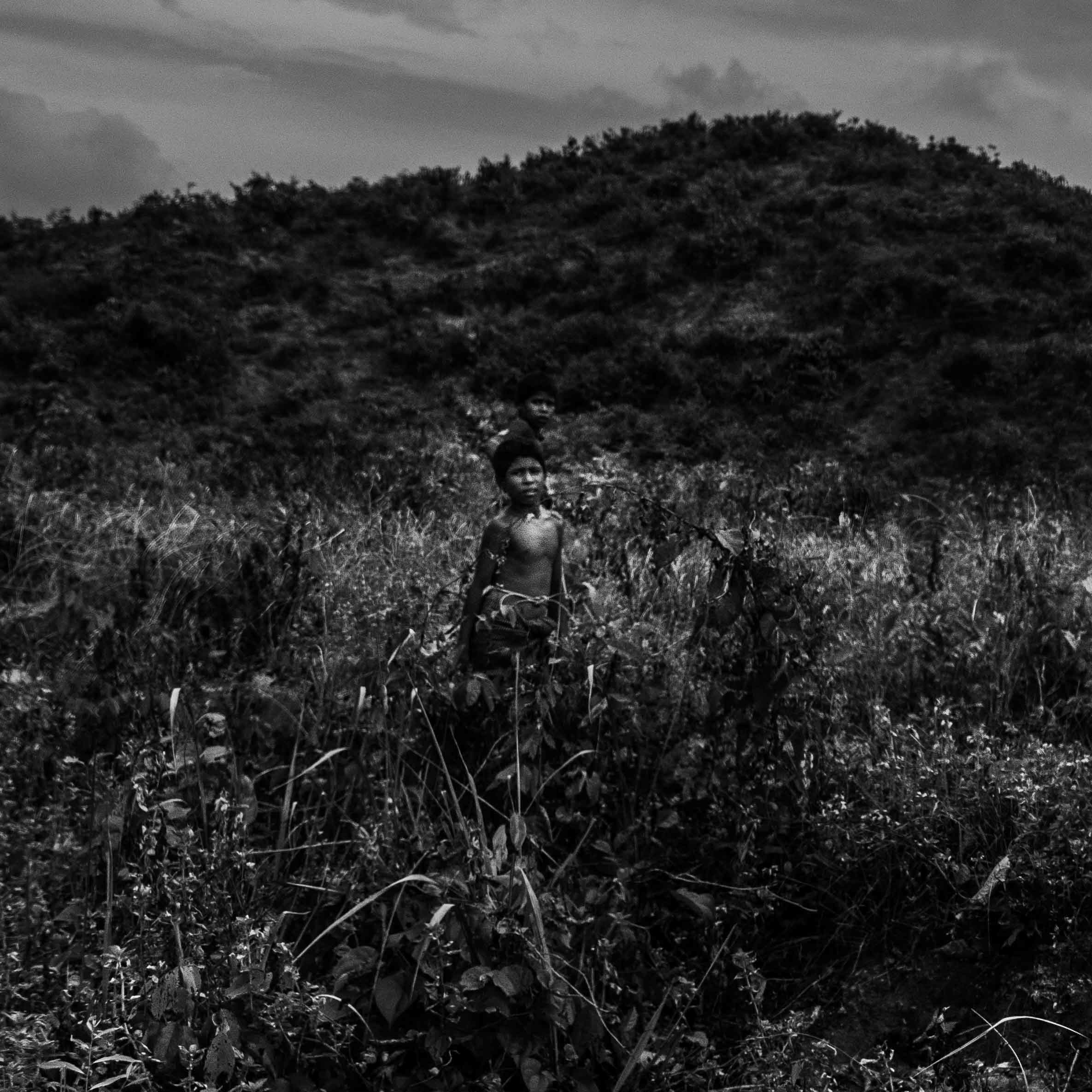Rohingya boys pick firewood in the bush several kilometers away from Balukhali refugee camp on August 11, 2018. Every day, thousands of men, women and children travel hours through the wilderness to collect wood for cooking. With approximately 700 metric tons of firewood being collected every day, estimates place complete deforestation of the area by the end of 2019. Now, U.N. agencies and NGOs are working to distribute gas stoves and provide training to curb the environmental impact.