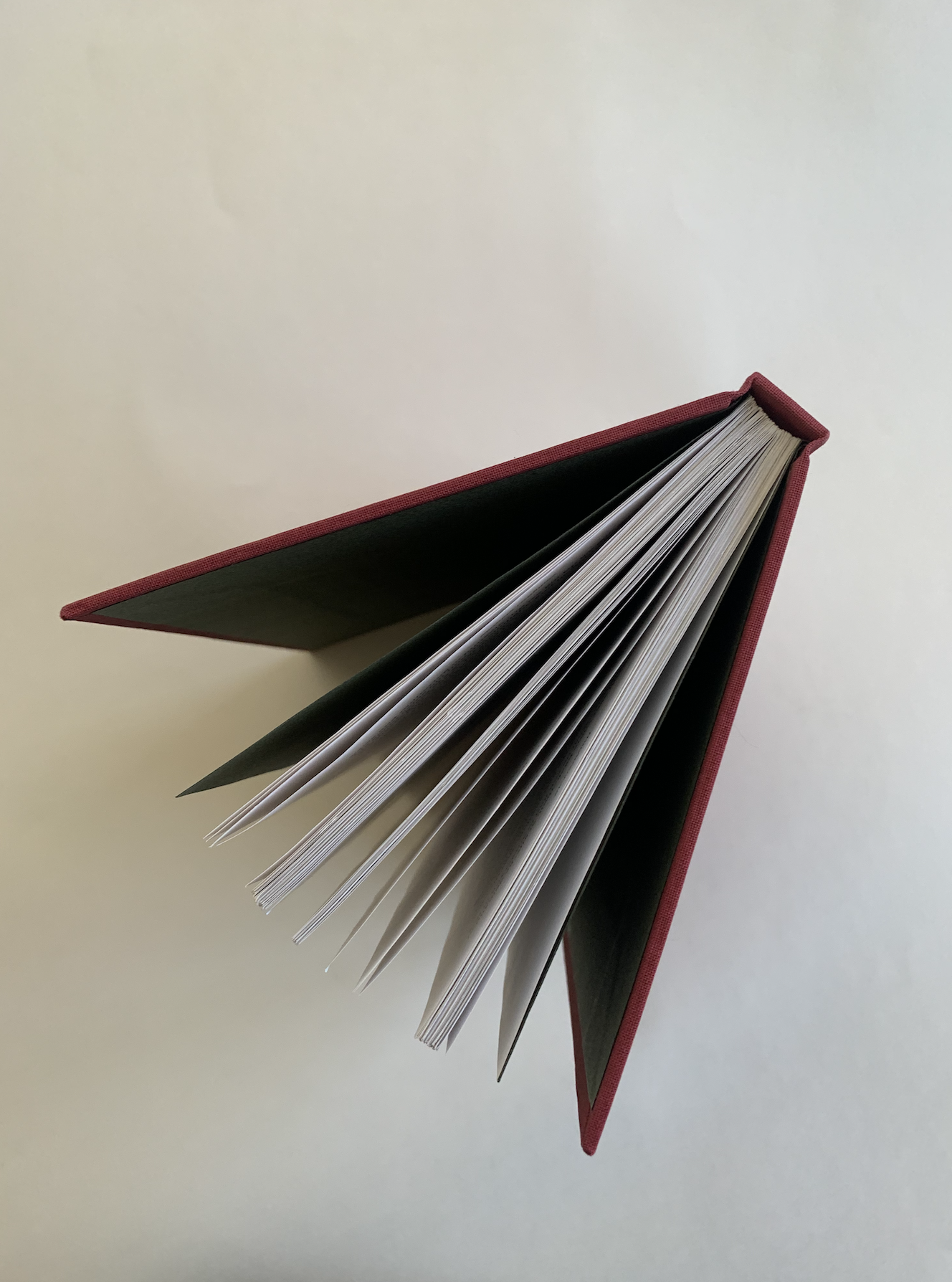 Bound Hard Cover Copy of The Wind in the Willows 