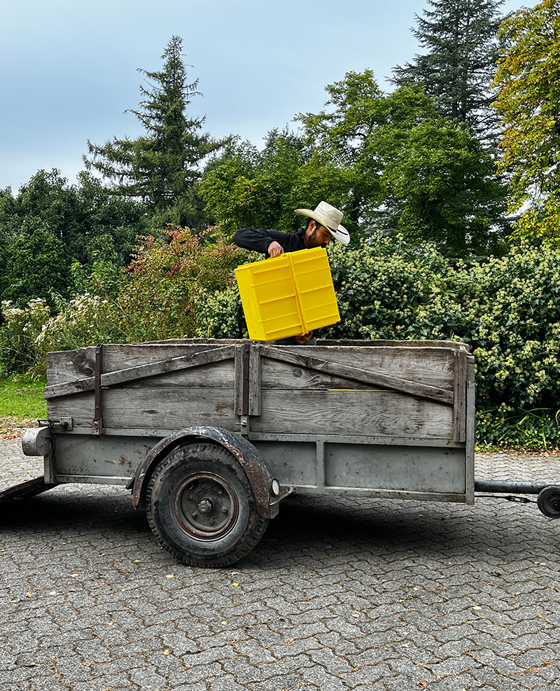 Santiago Martinez, in Mexiko aufgewachsen, ist ausgebildeter &Ouml;nologe.