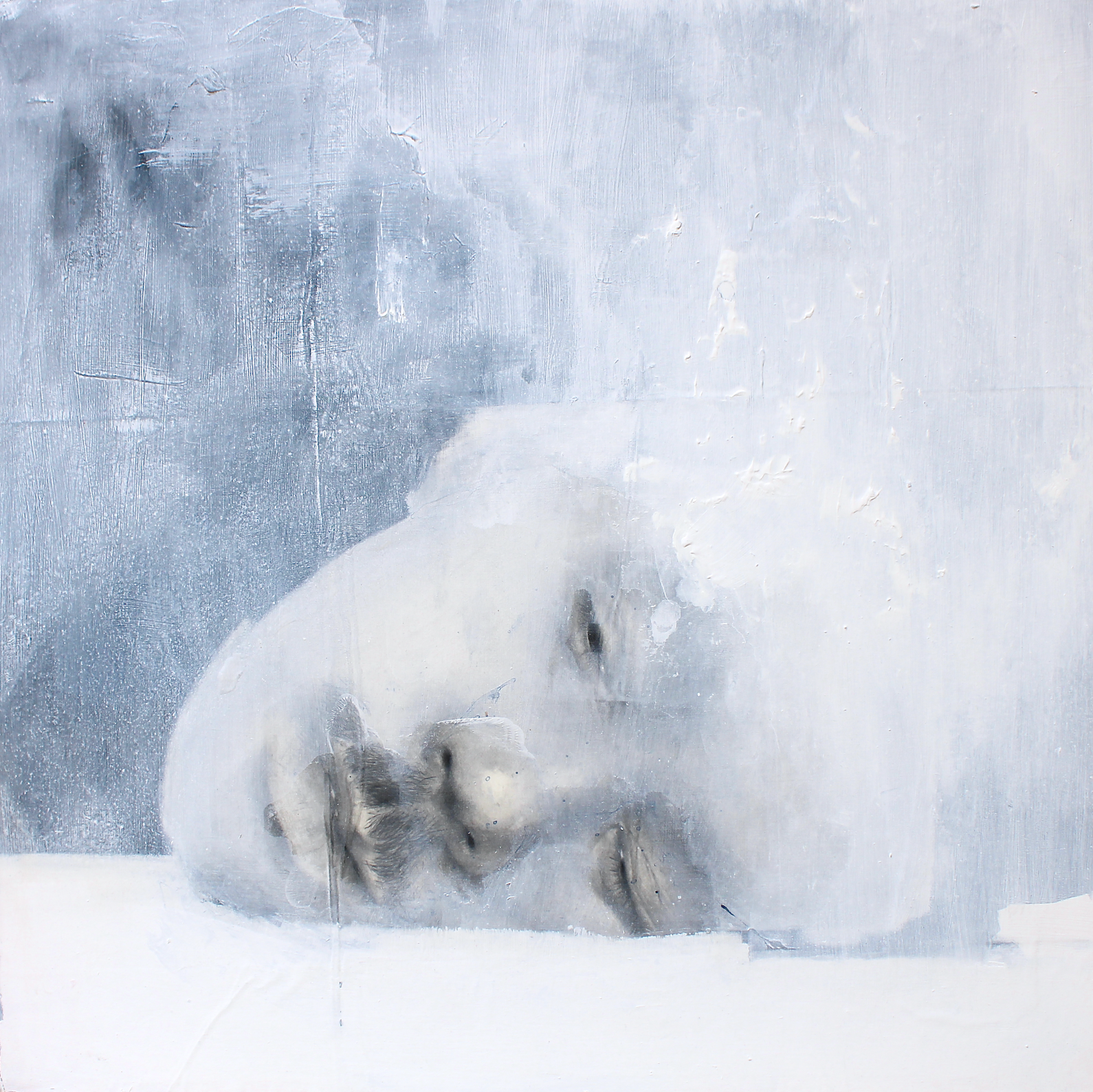 Untitled, 2019 (61x61cm).