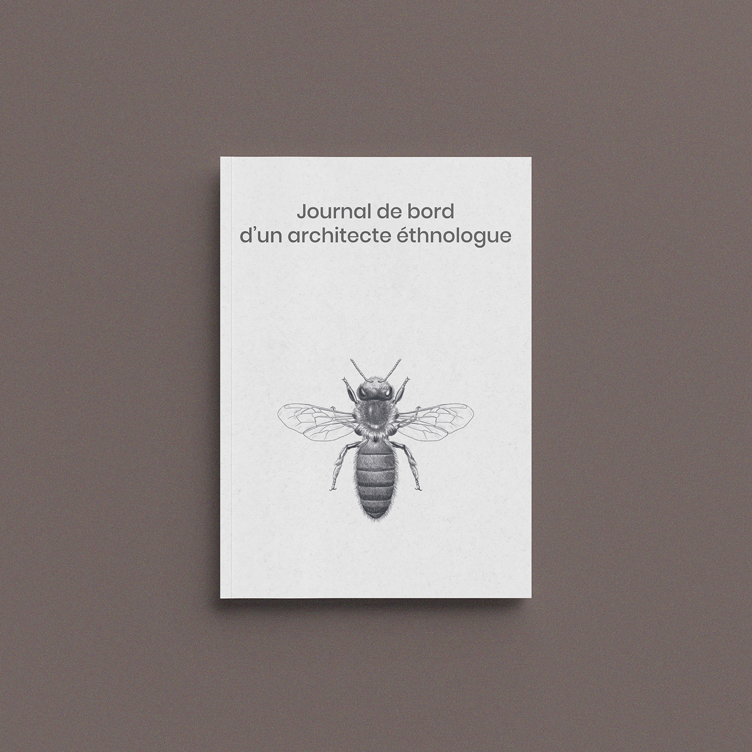 Architecte Ethnologue