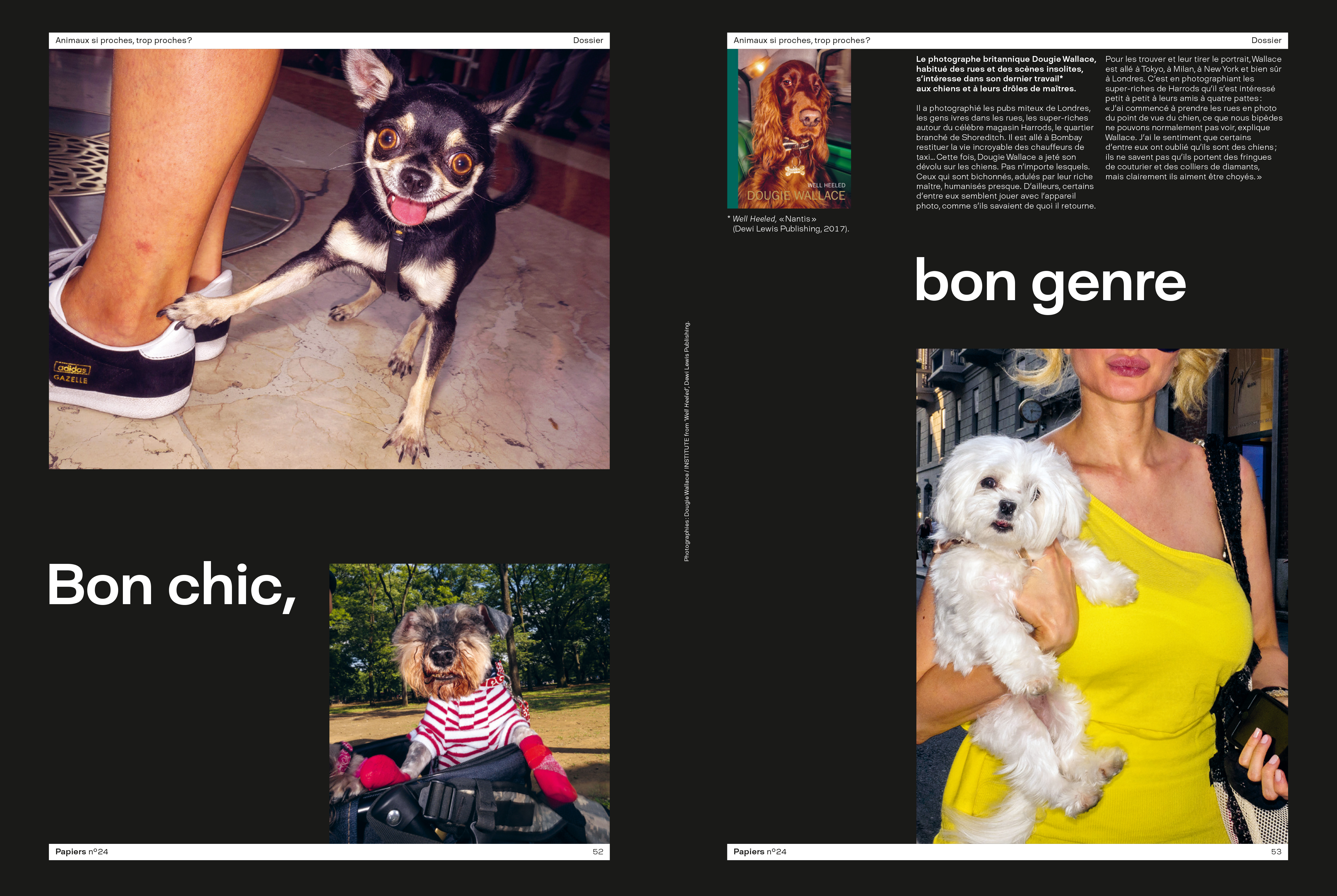 Chiens, par Dougie Wallace