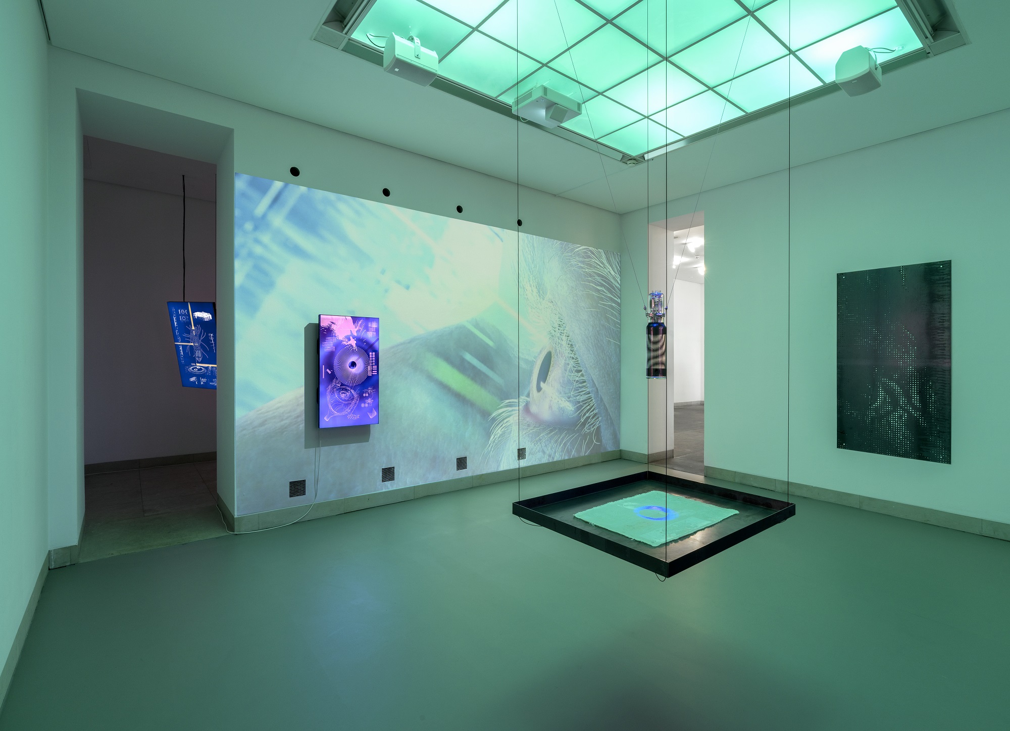 BLINDHÆD by JUSTIN URBACH at GALERIE STADT SINDELFINGEN curated by MARISA ZEISING [from 20250308 to 20250525] [Photos: Wolfgang Günzel]