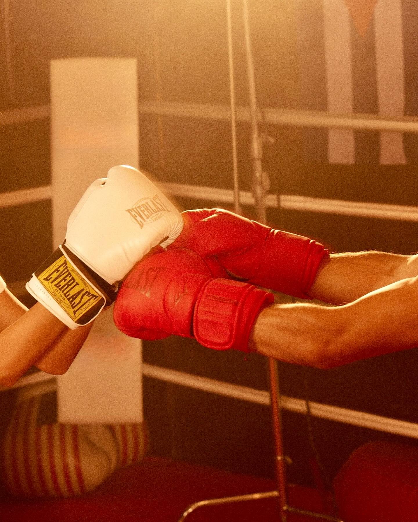 Two people touching boxing gloves in a boxing ring