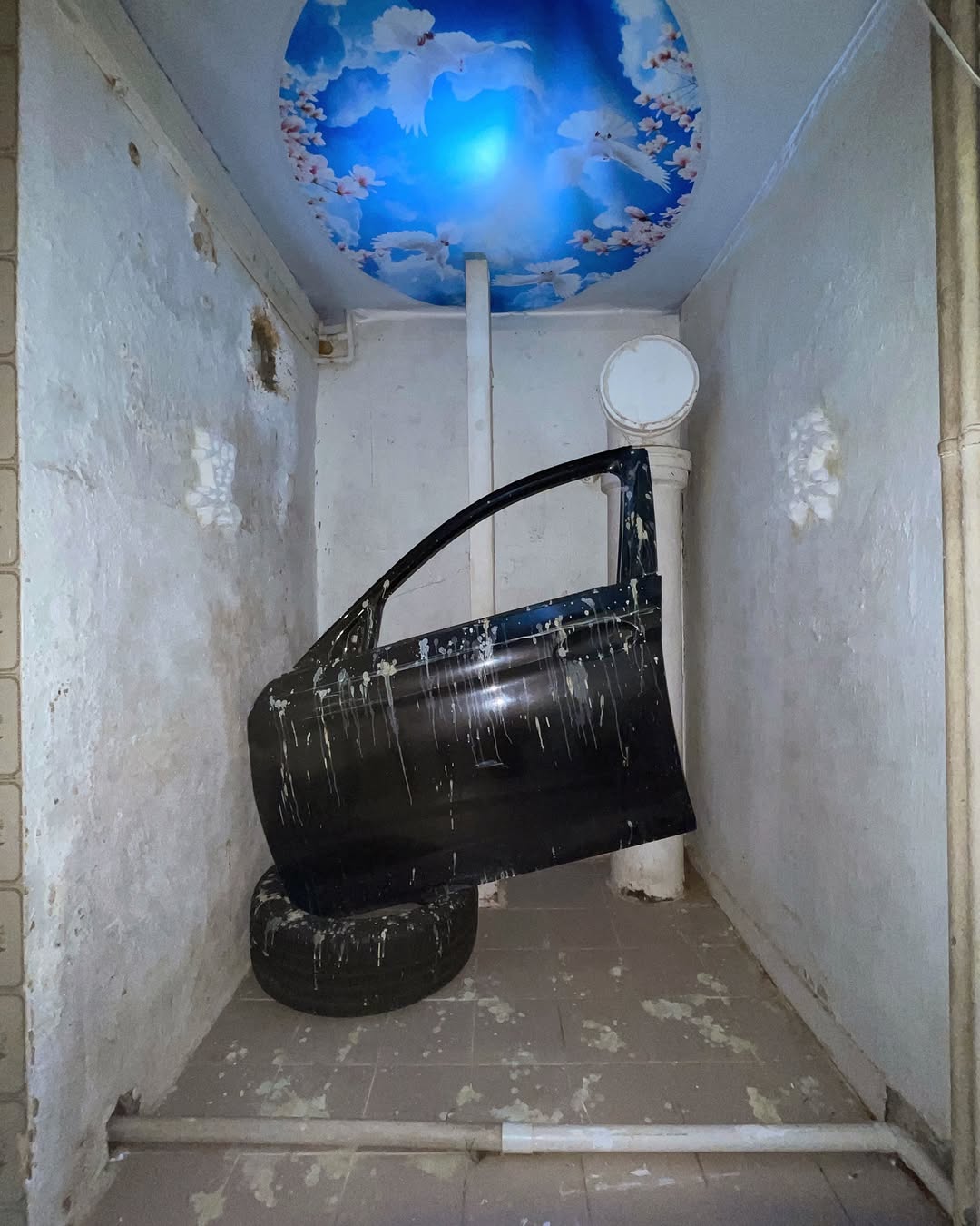  𝗪𝗶𝗻𝗴𝘀 𝗮𝗻𝗱 𝗧𝘂𝗿𝗱 (2024)