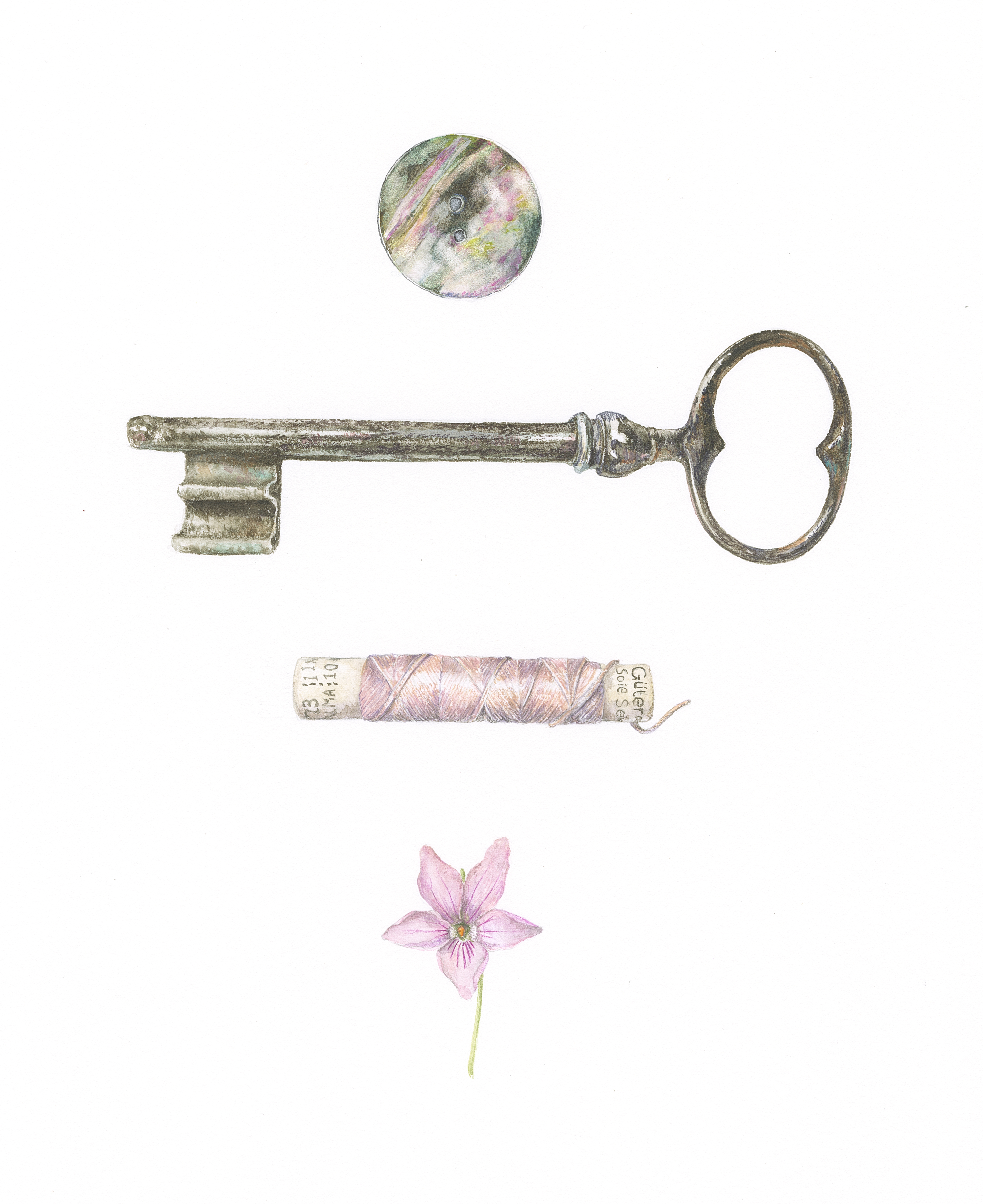 Button, key, silk and Viola odorata 'carol'