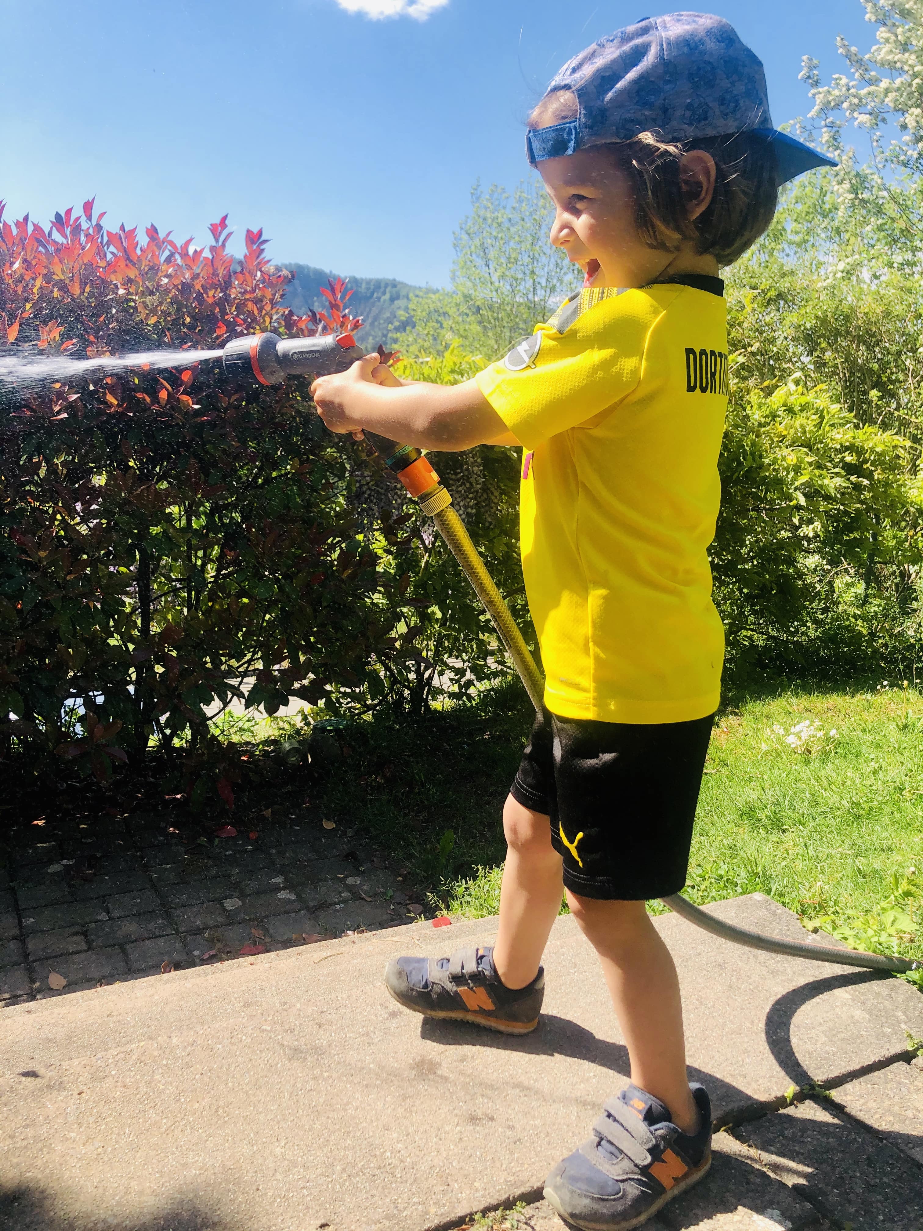 G is for Gärtner. Carl.