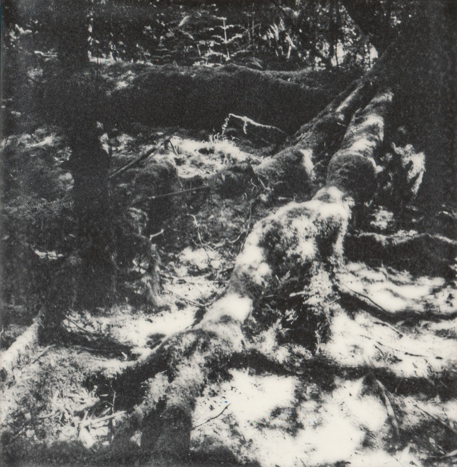 YOU LEFT BEFORE YOU KNEW