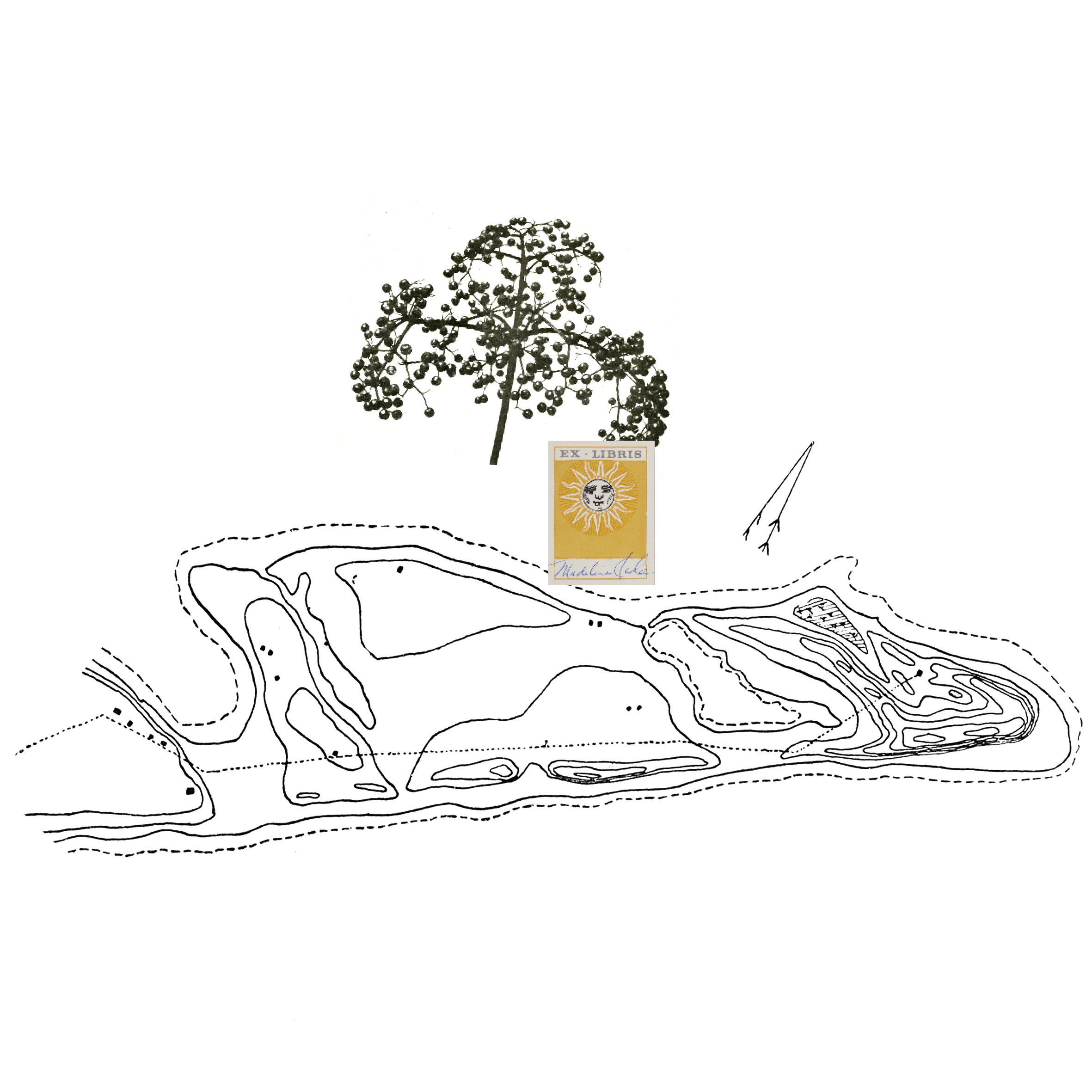 DANCING POETICS & POLITICS