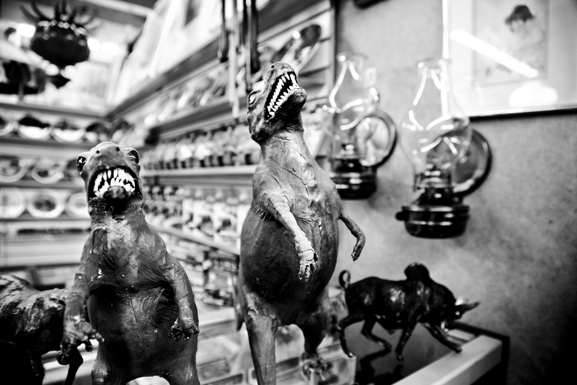 Photography by José Enrique Montes Hernandez 