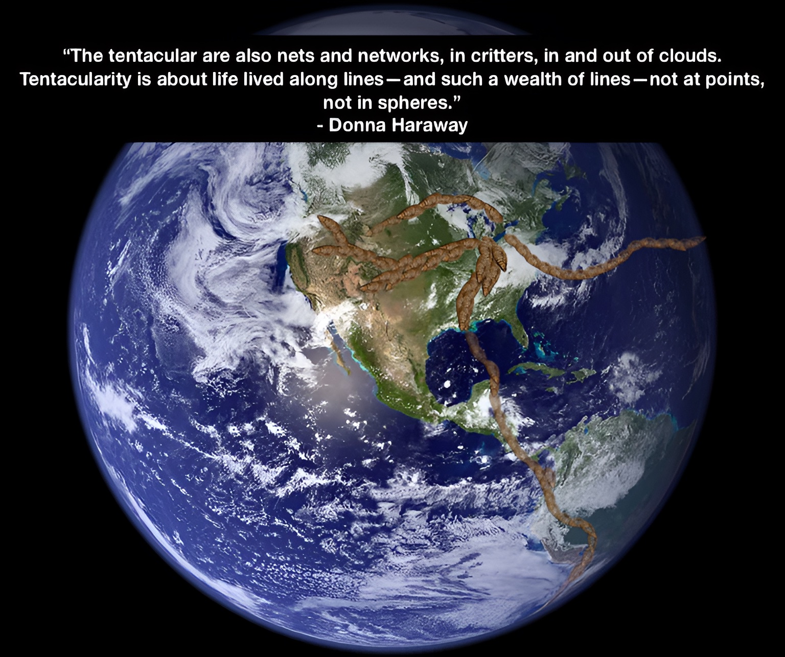 Zebra Mussels as tentacular entities on a planetary scale. Noam Levinsky, base image from NASA Earth Observatory, 2002.