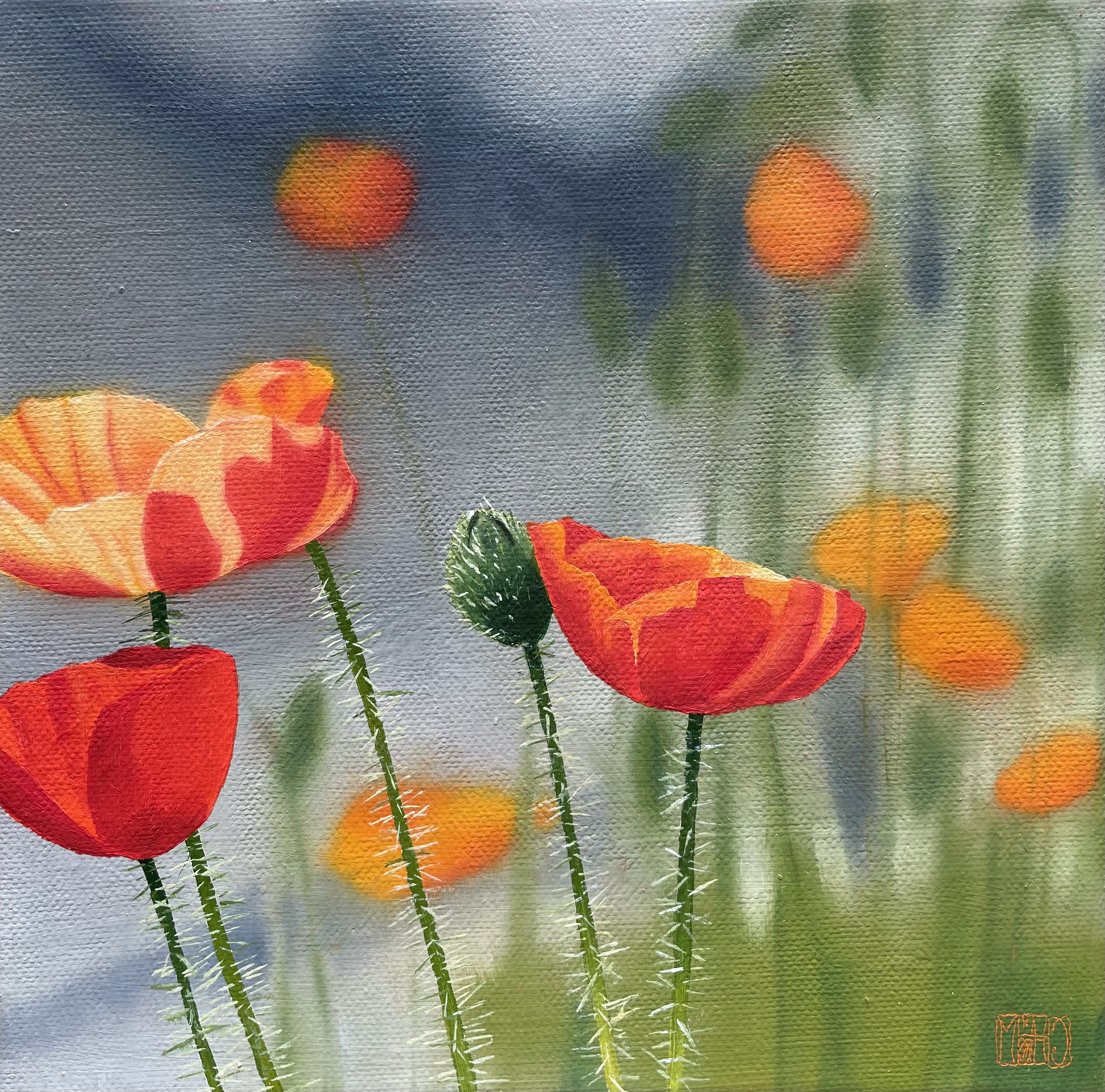 477–Mohn Nr. 520×20 cmÖl auf Leinwand2021sold
