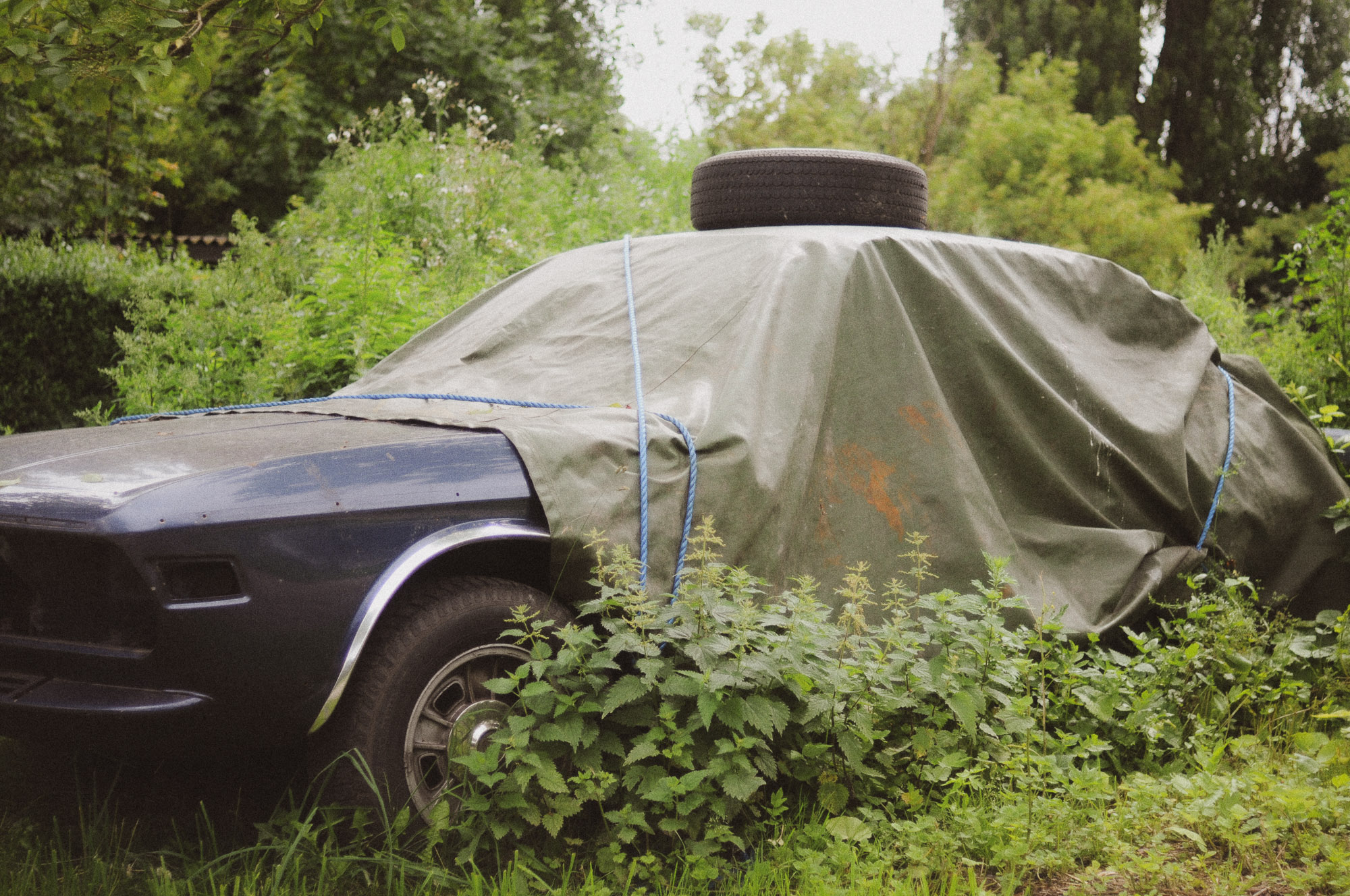 FV_Series_004_IMG_16_Wrapped_Car