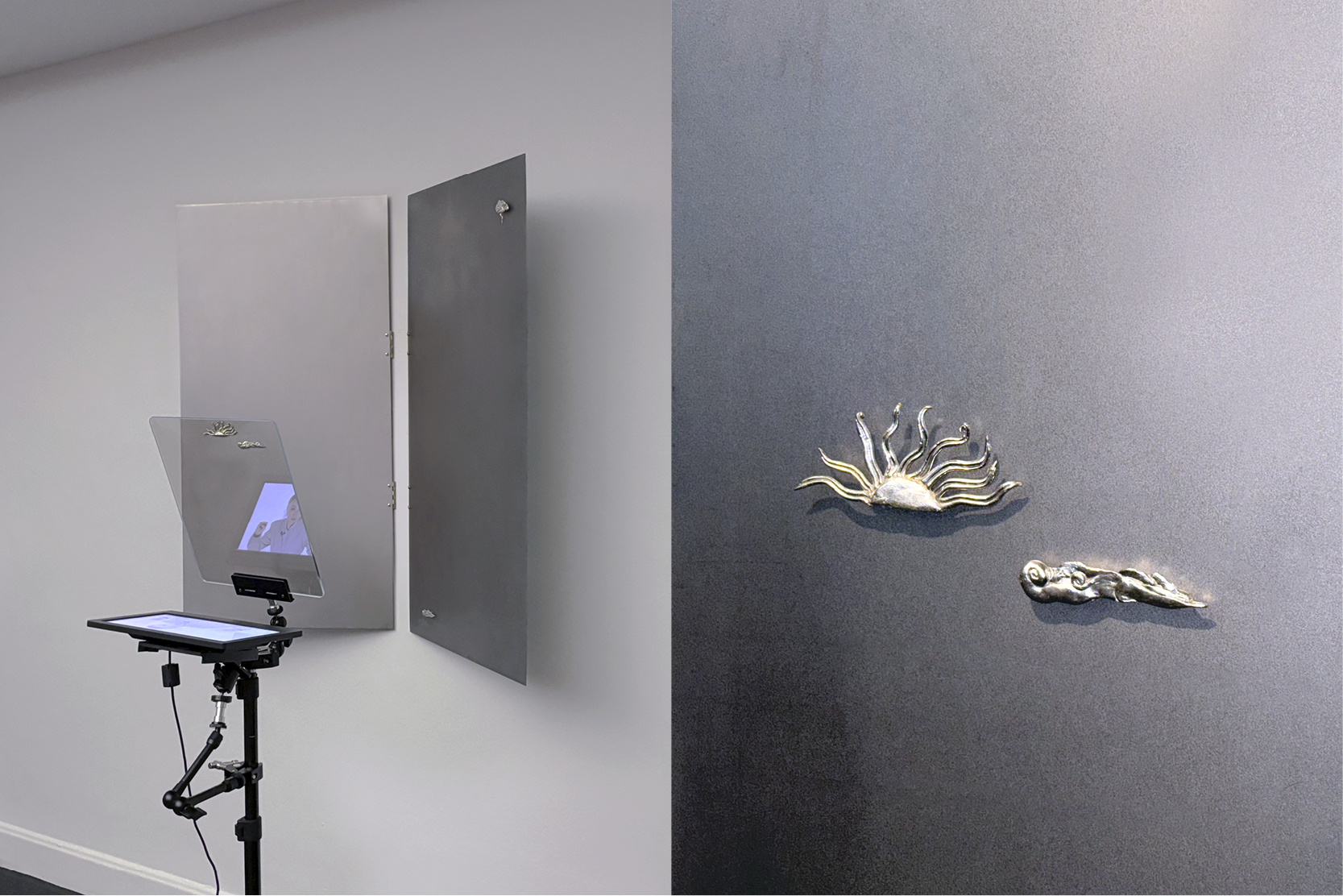 El Grajo que Vuela Bajo, Multimedia Installation, Sala Amadís INJUVE (SP, 2025)