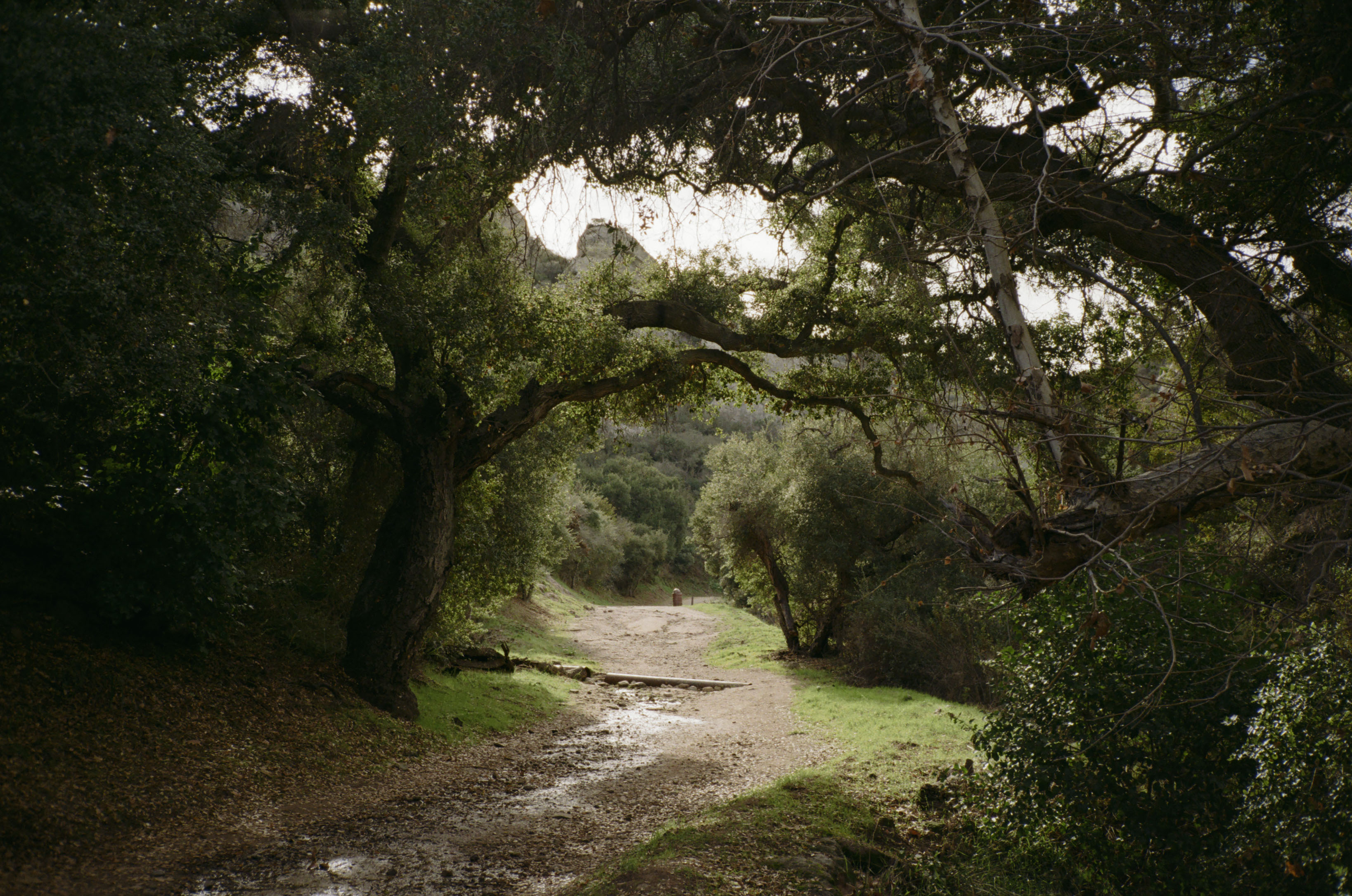 red rock canyon park