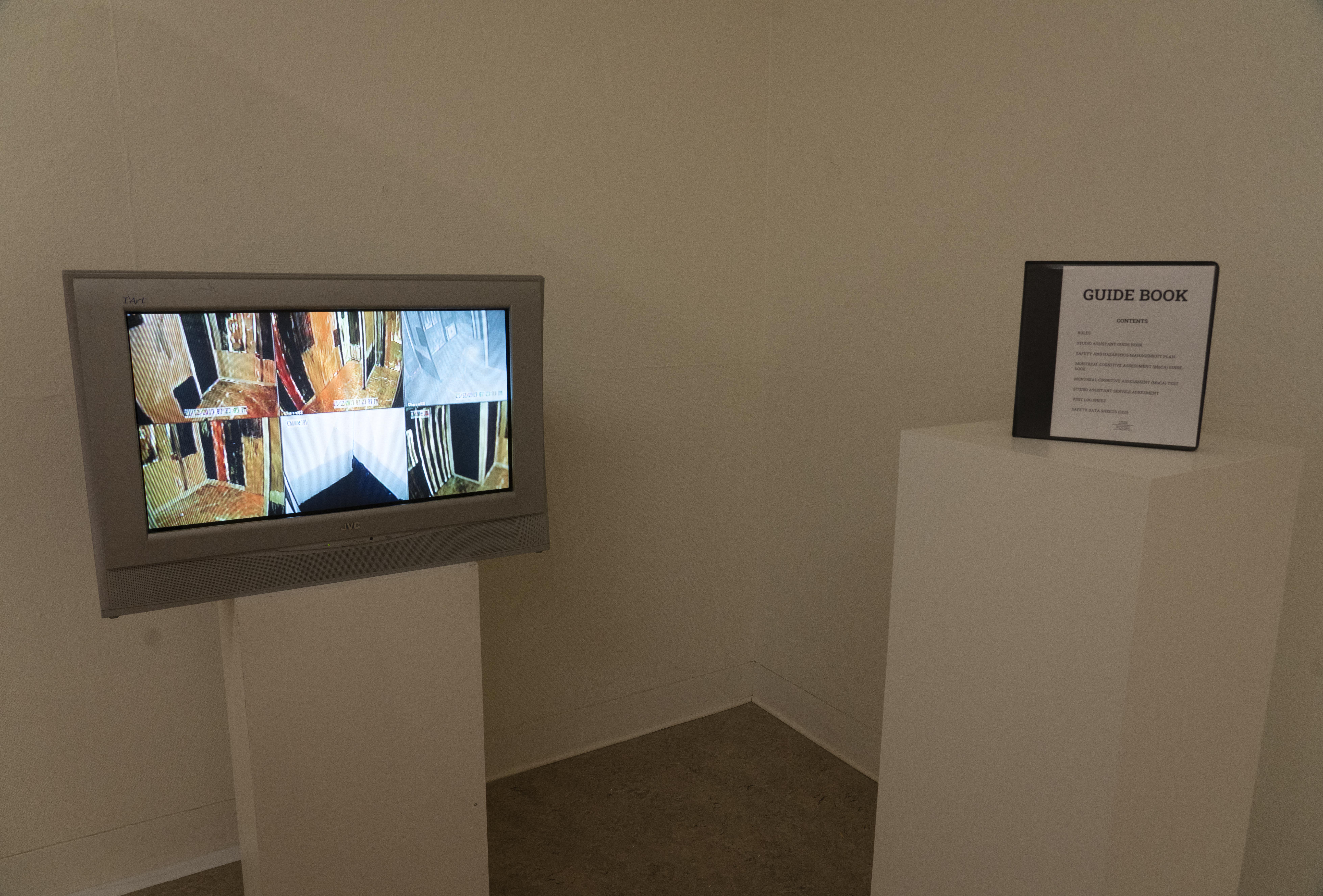 CCTV Monitor and Guide Book, 48 Hour (Walk-In Structure), latex on voile, variable