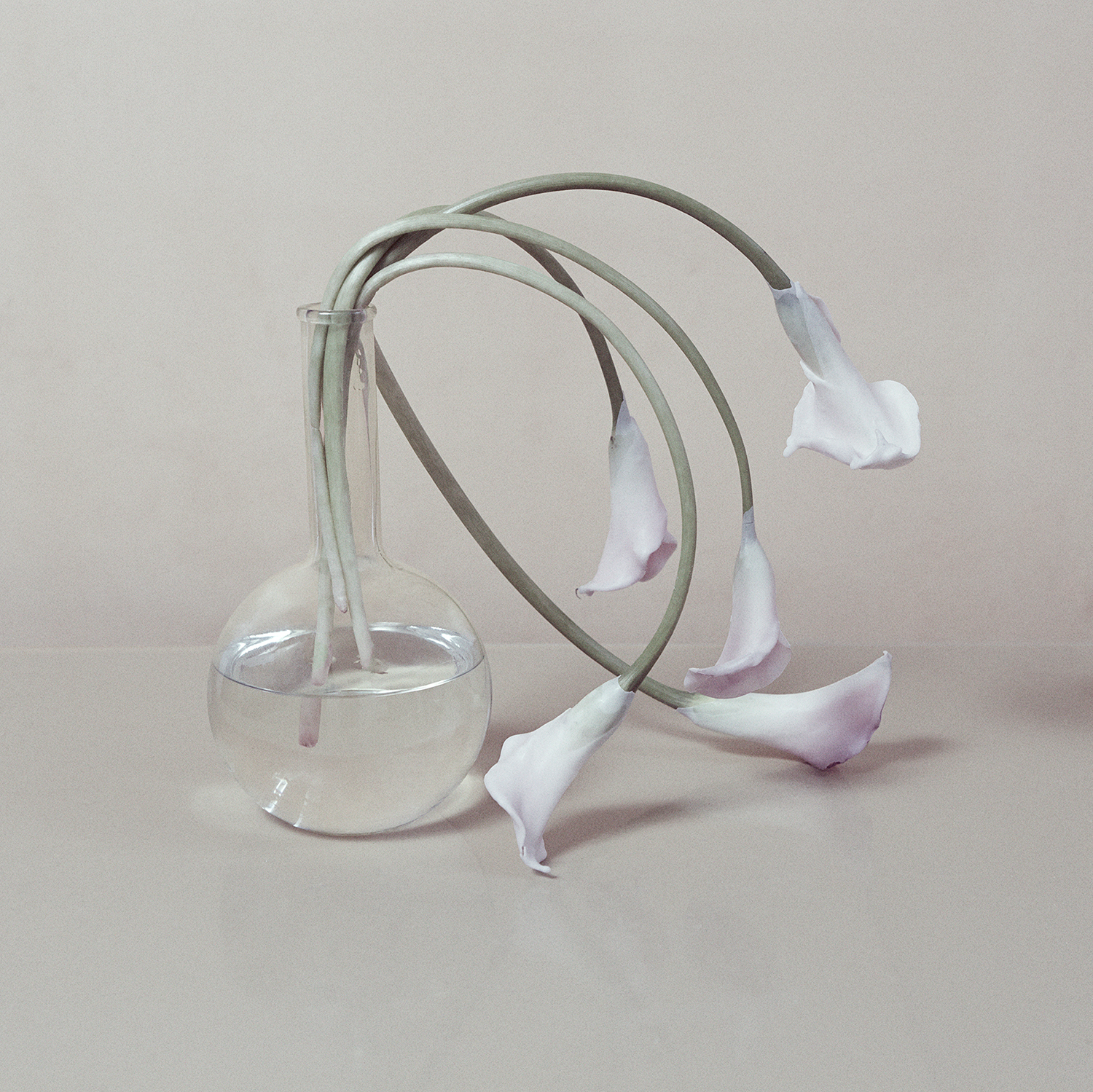 Exhibition Magazine 'Wax' Issue