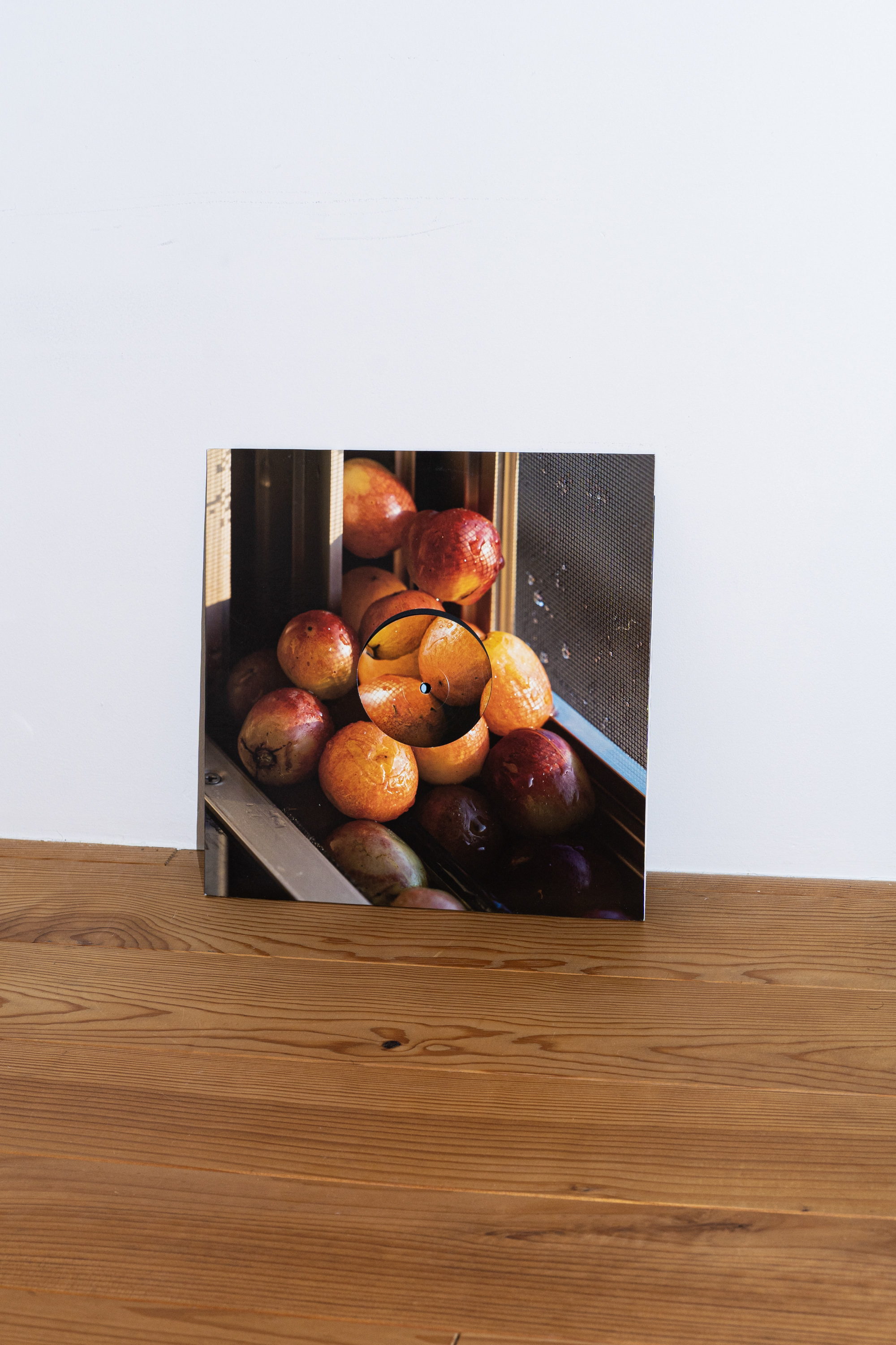 tentei - kukangendai - 2022