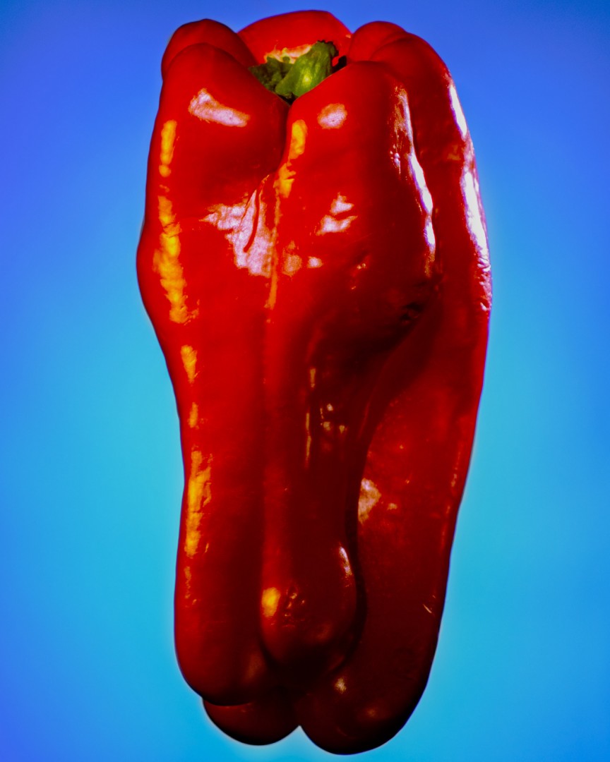 Nicholas Proscia, RED PEPPER ON BLUE, 2020, Digital photography, 30” x 35”. Image courtesy the artist.