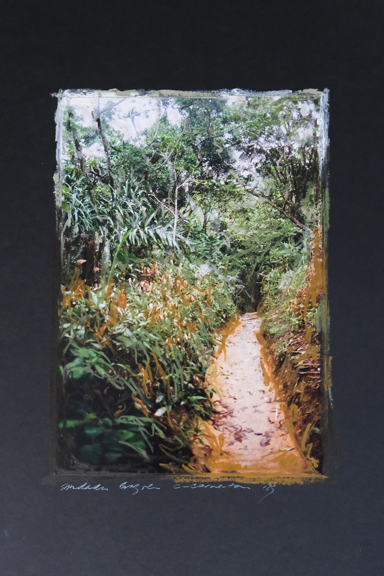 42 x 30 cm