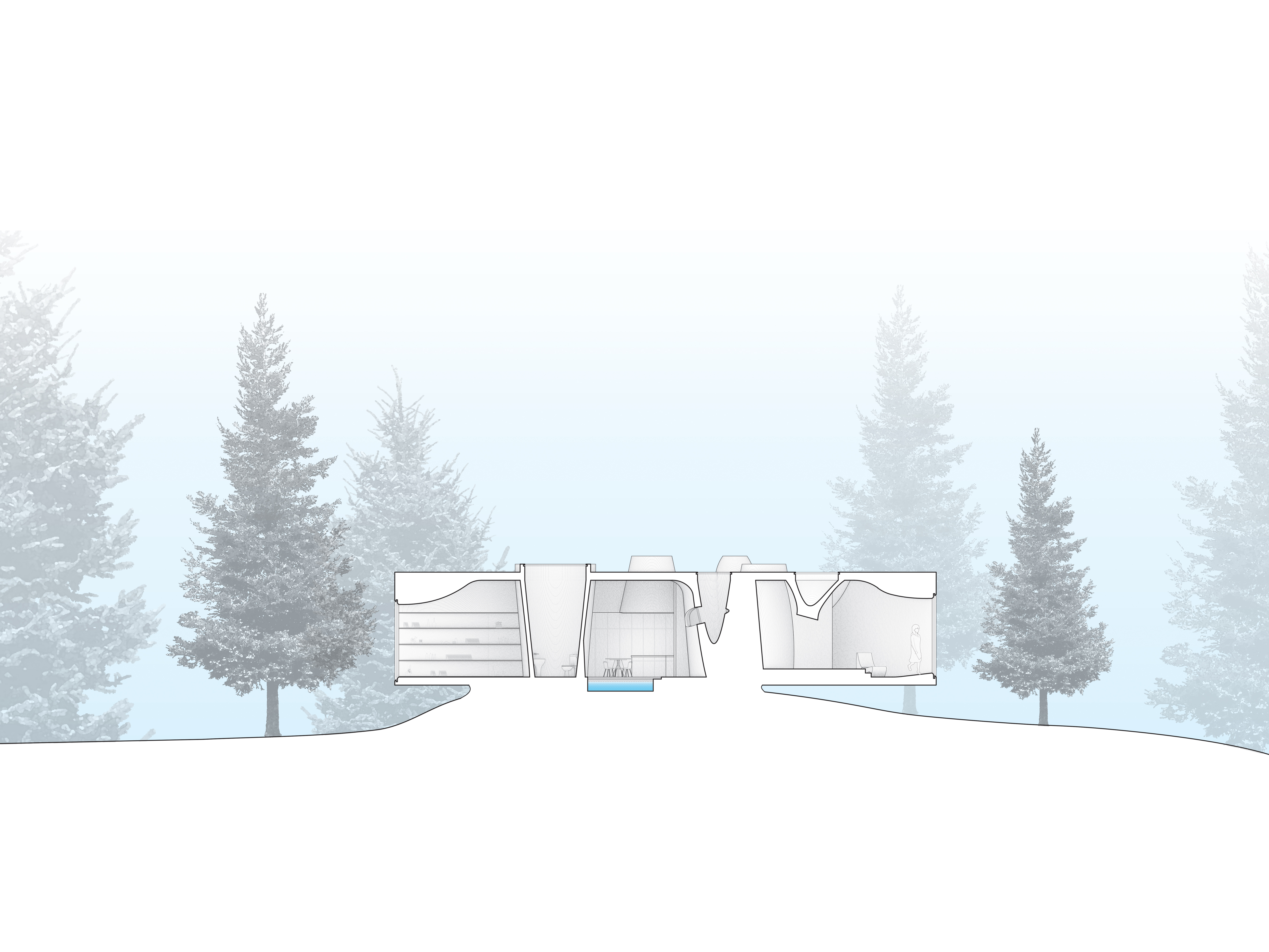 SECTION