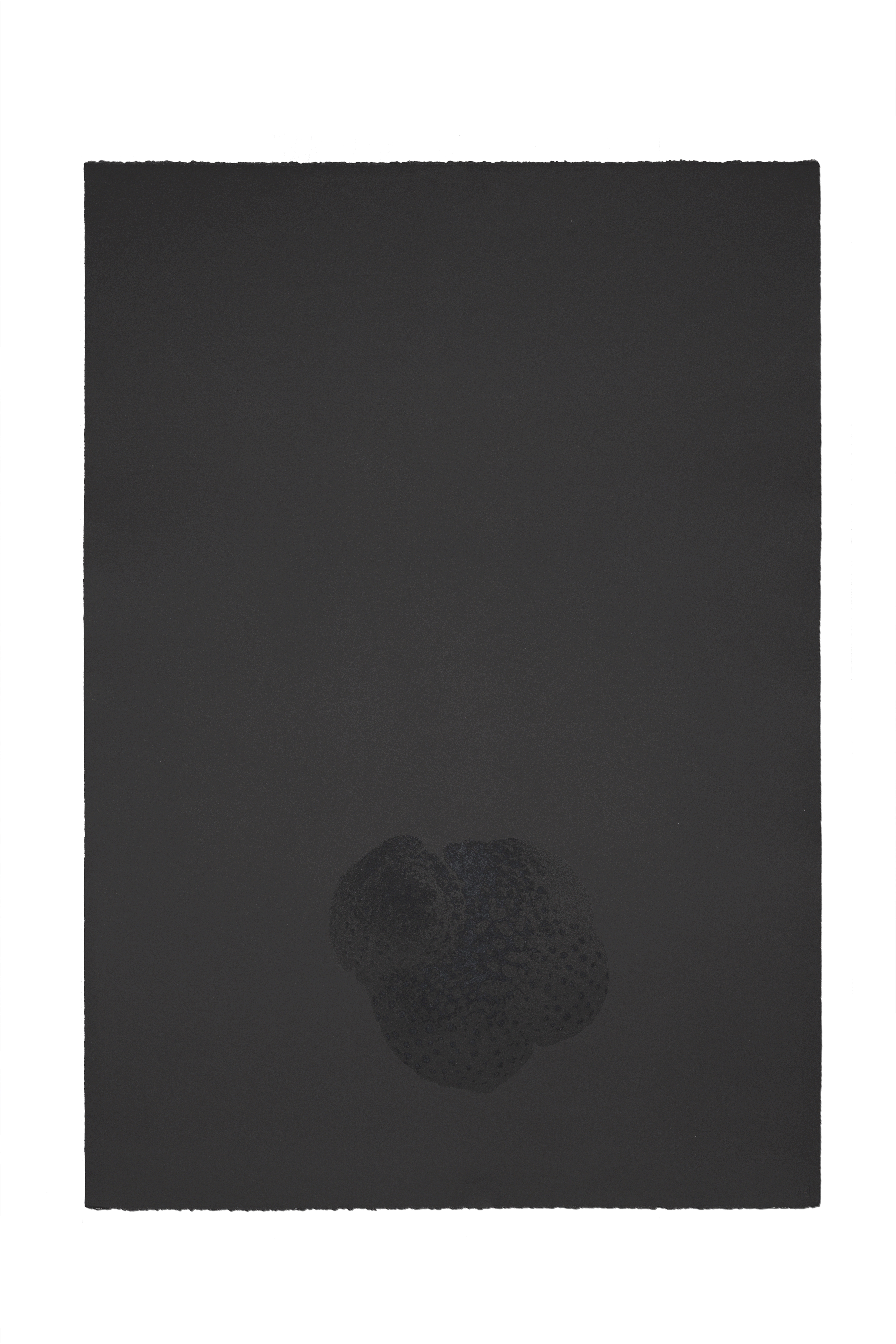 Barbara De Ponti, Clay Time Code_Pleistocene Plankton_B1, 2022, black intaglio ink and blueclay powder on Arches Velin Blanc paper, 104 x 75 cm, ph. Giulio Boem