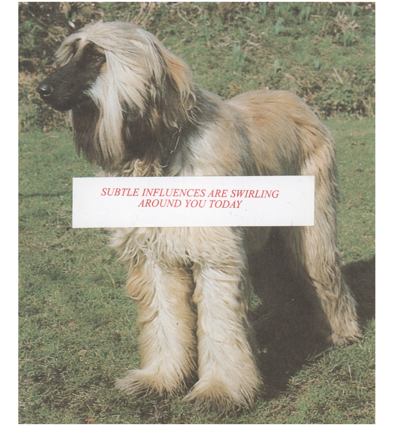 Subtle Influences, 2016, collage, 11 x 15 cm