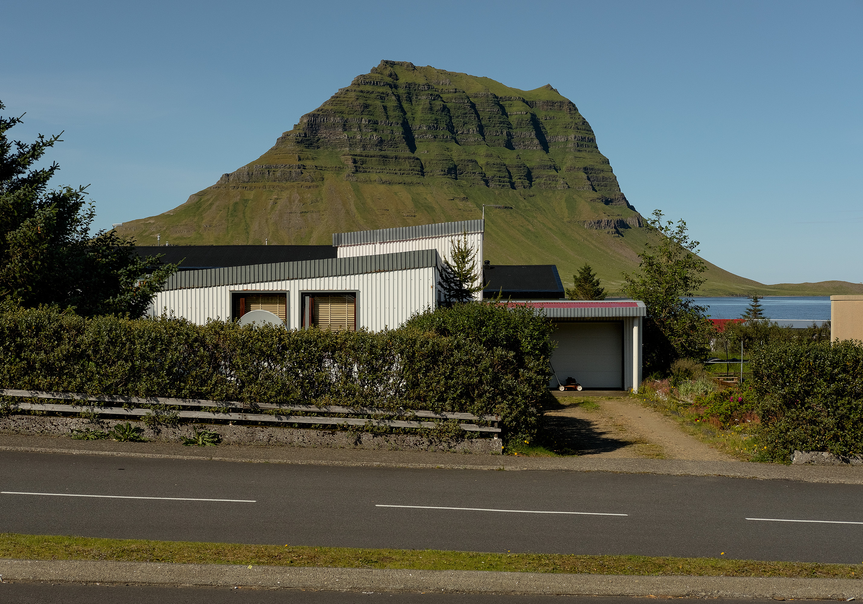 Domingo Nardulli TIFF