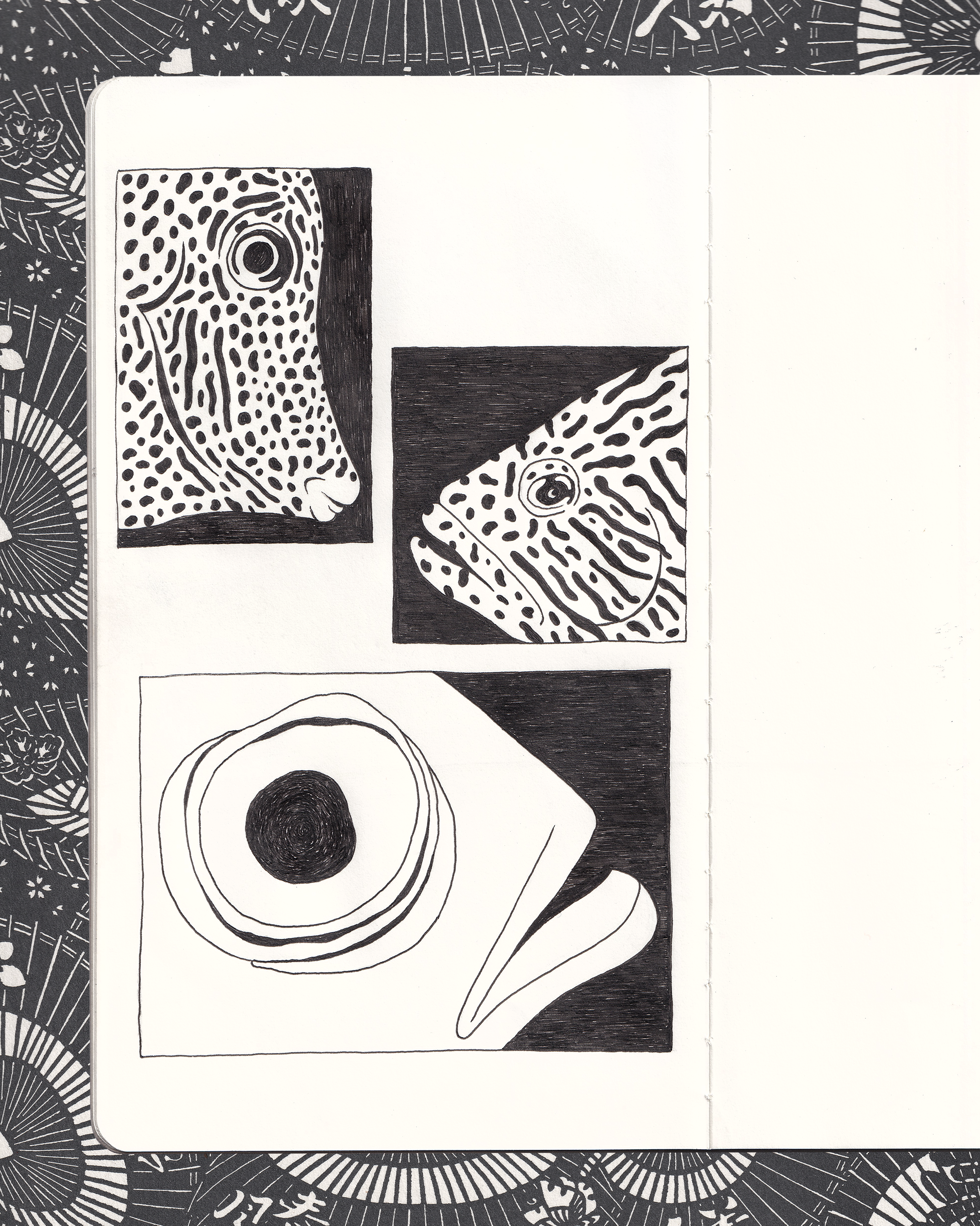 "Fish Eye" Pen Illustration