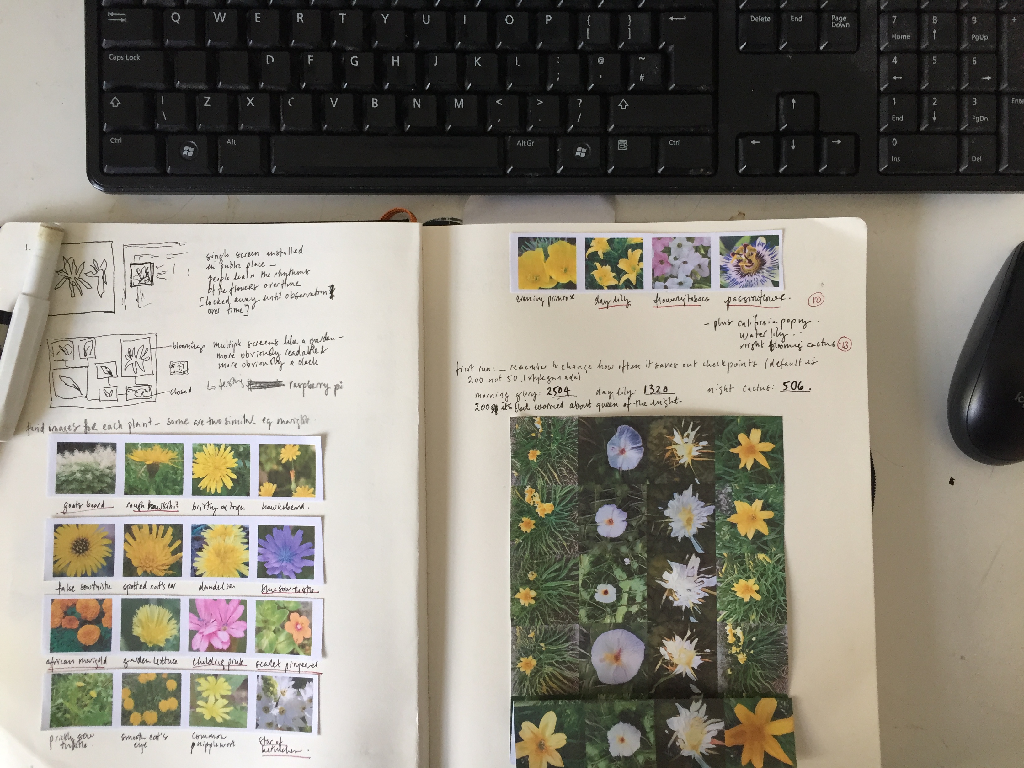 Other ways of thinking about time: flowers have their own circadian rhythm