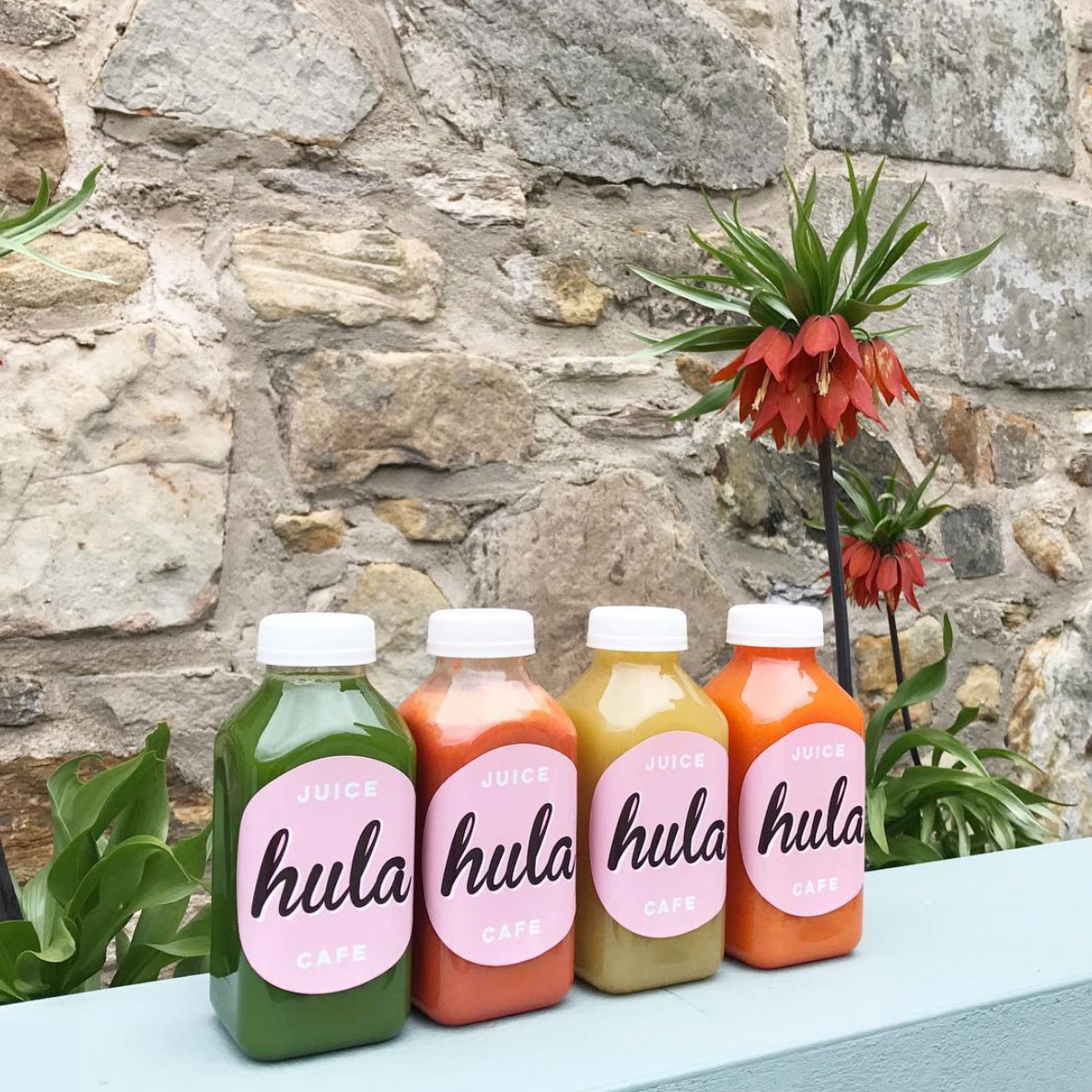 Hula Juice Café — JA!COCO!