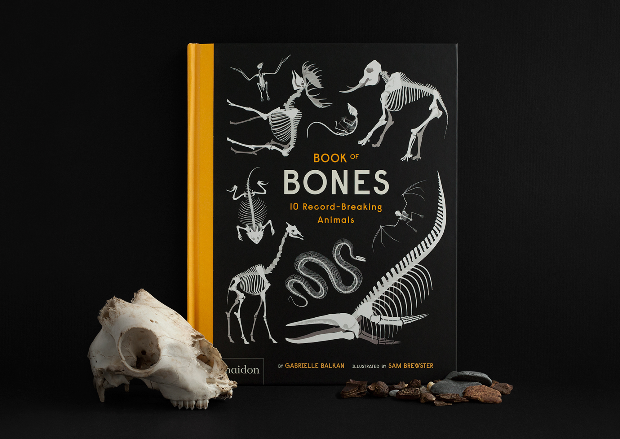Skin and bones david. Bone книга. Book-of-Bones. Чернила и кость книга. Bones and all книга на русском.