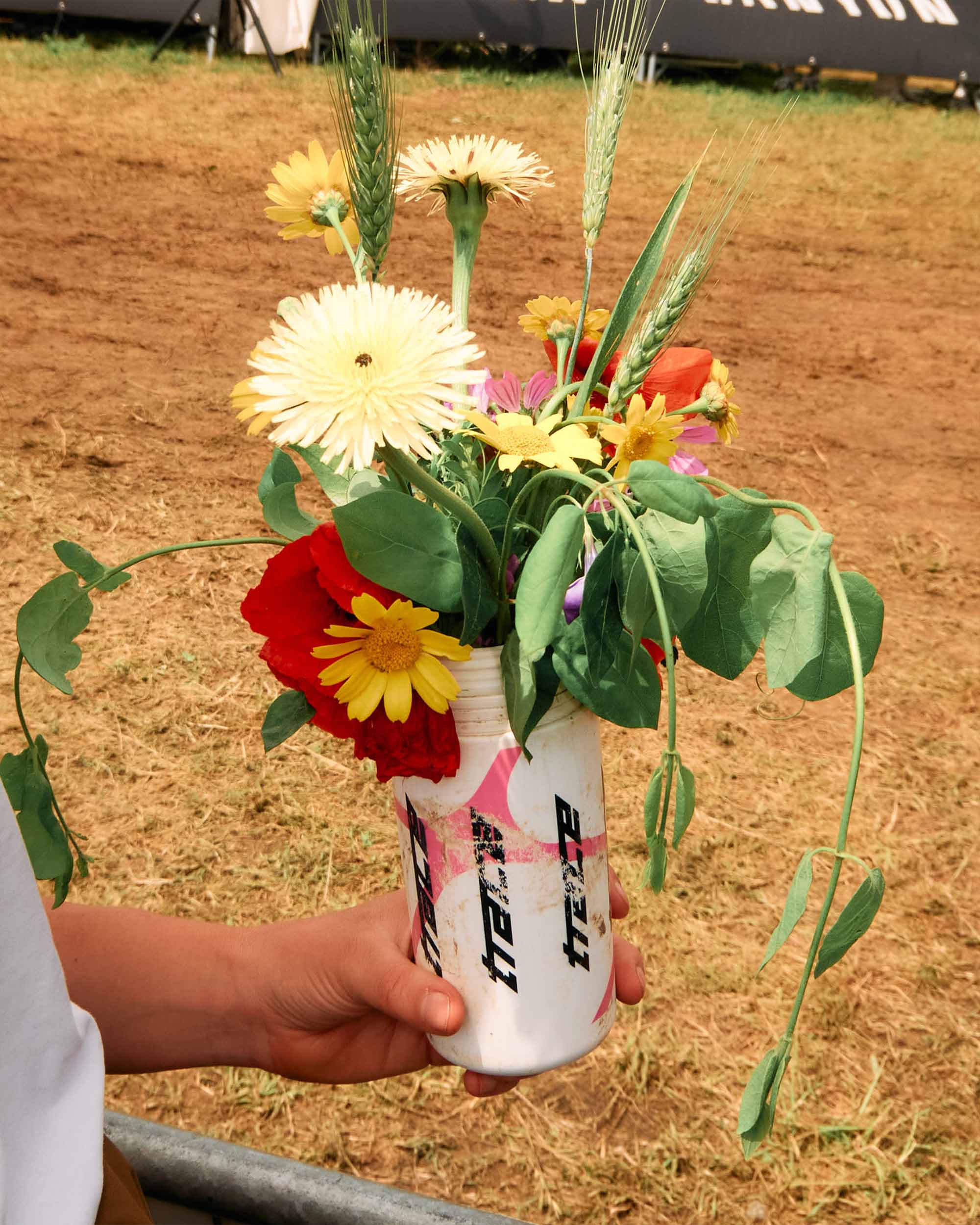 Giallo Studio X Trace Graphic for Cycling team Logo Art Direction Branding in Milan