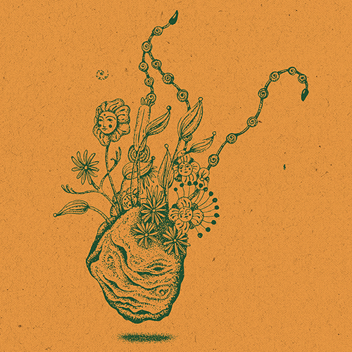 Music For Daydreamers