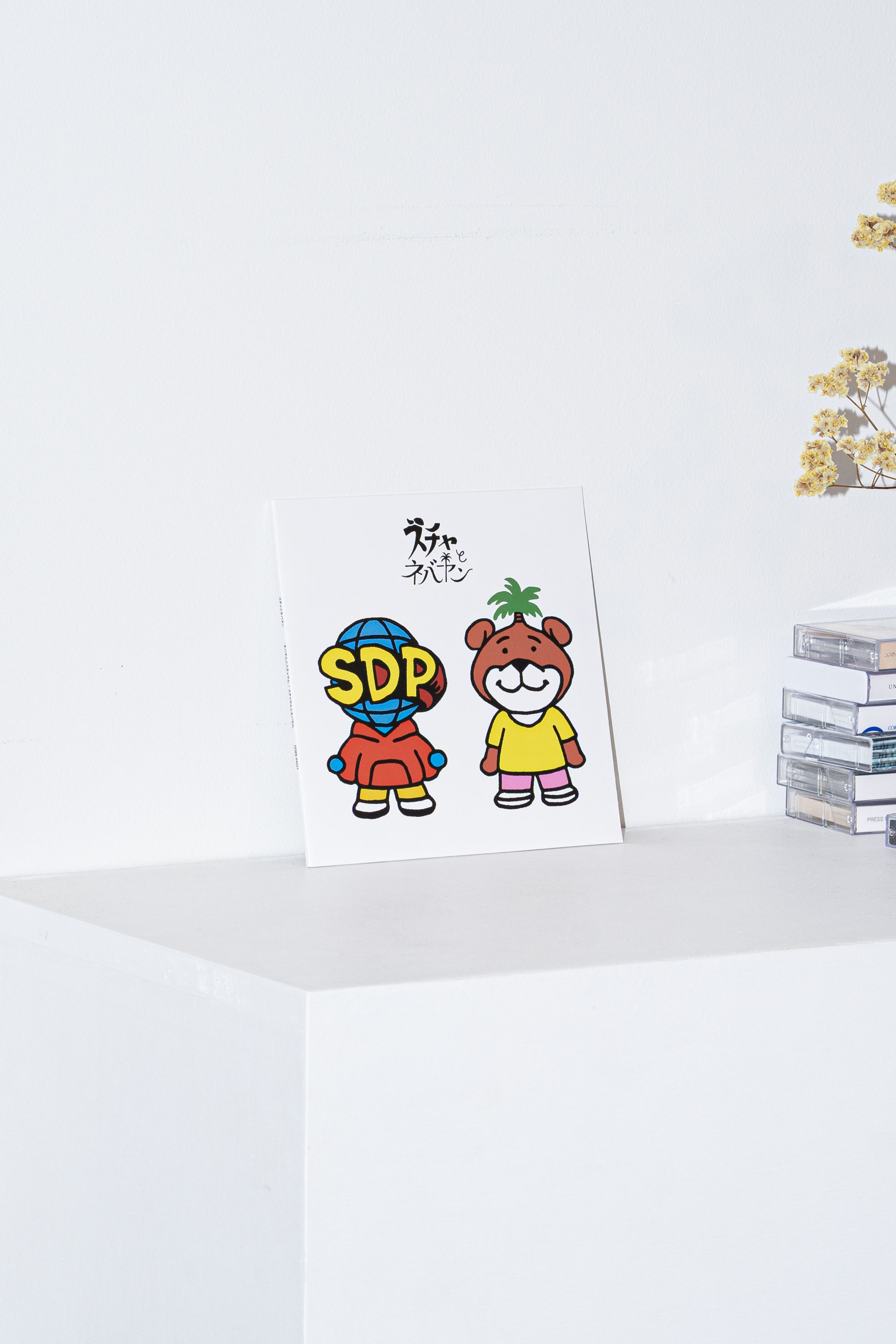 nebayan to schayan - scha to nebayan - 2021