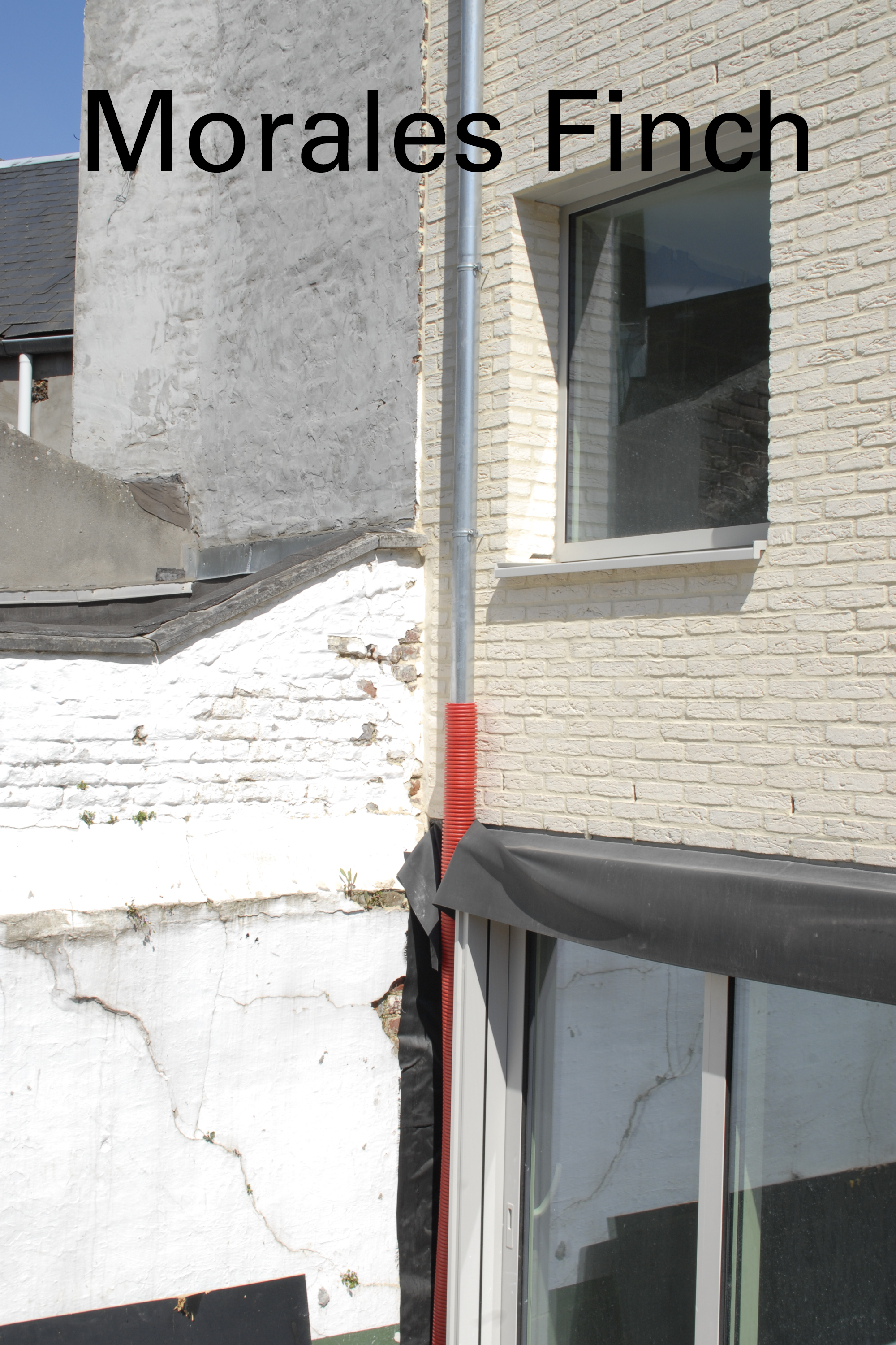 A pair of family dwellings, Wavre, 2021