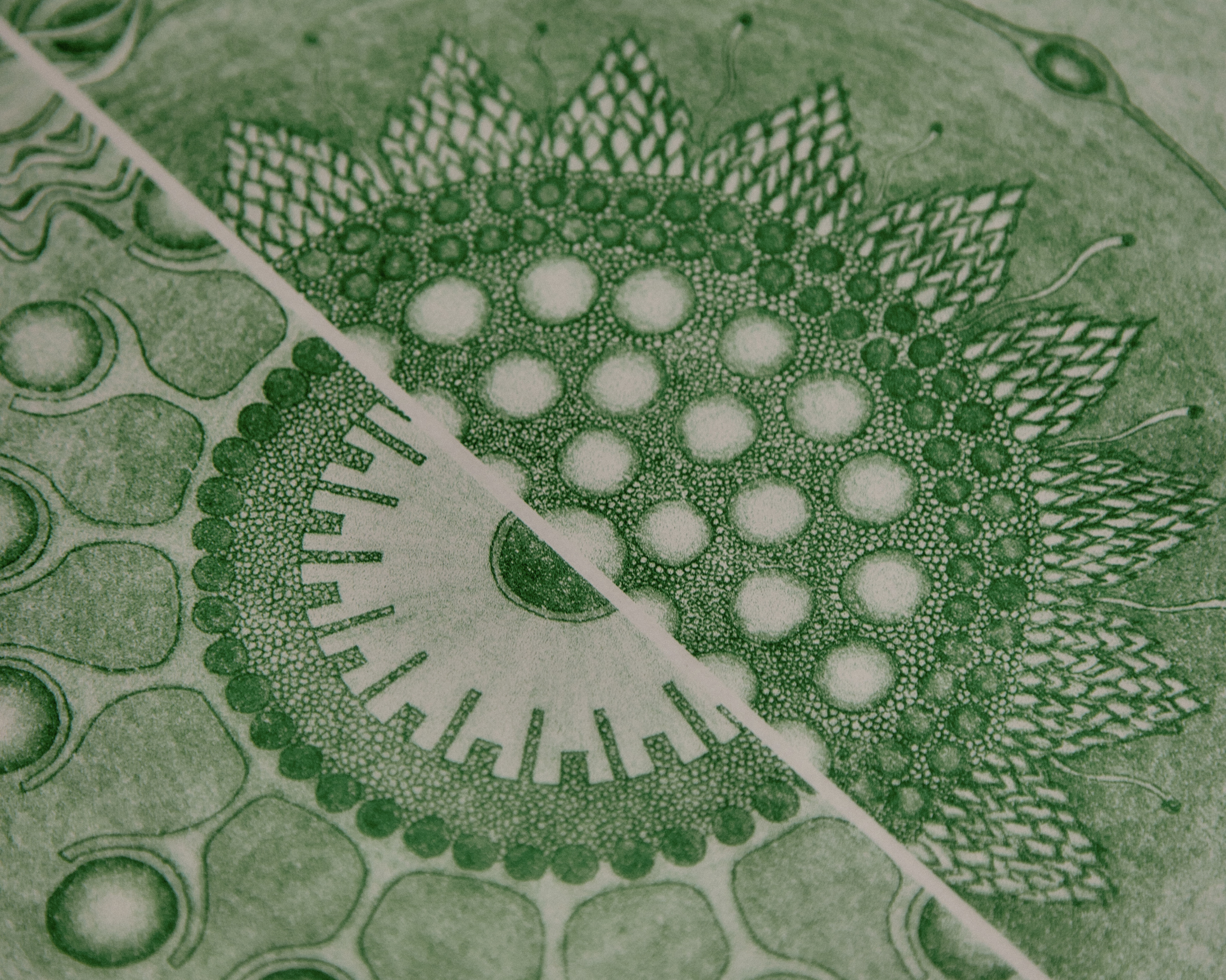 > Nottingham Weather Station [2023-24]