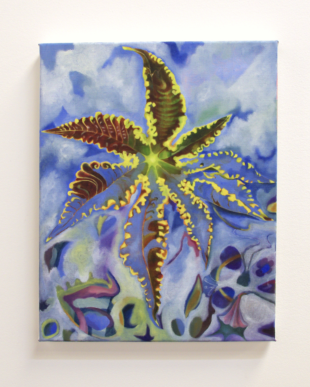 Sky Star, oil on linen, 28 x 35 cm, 2022