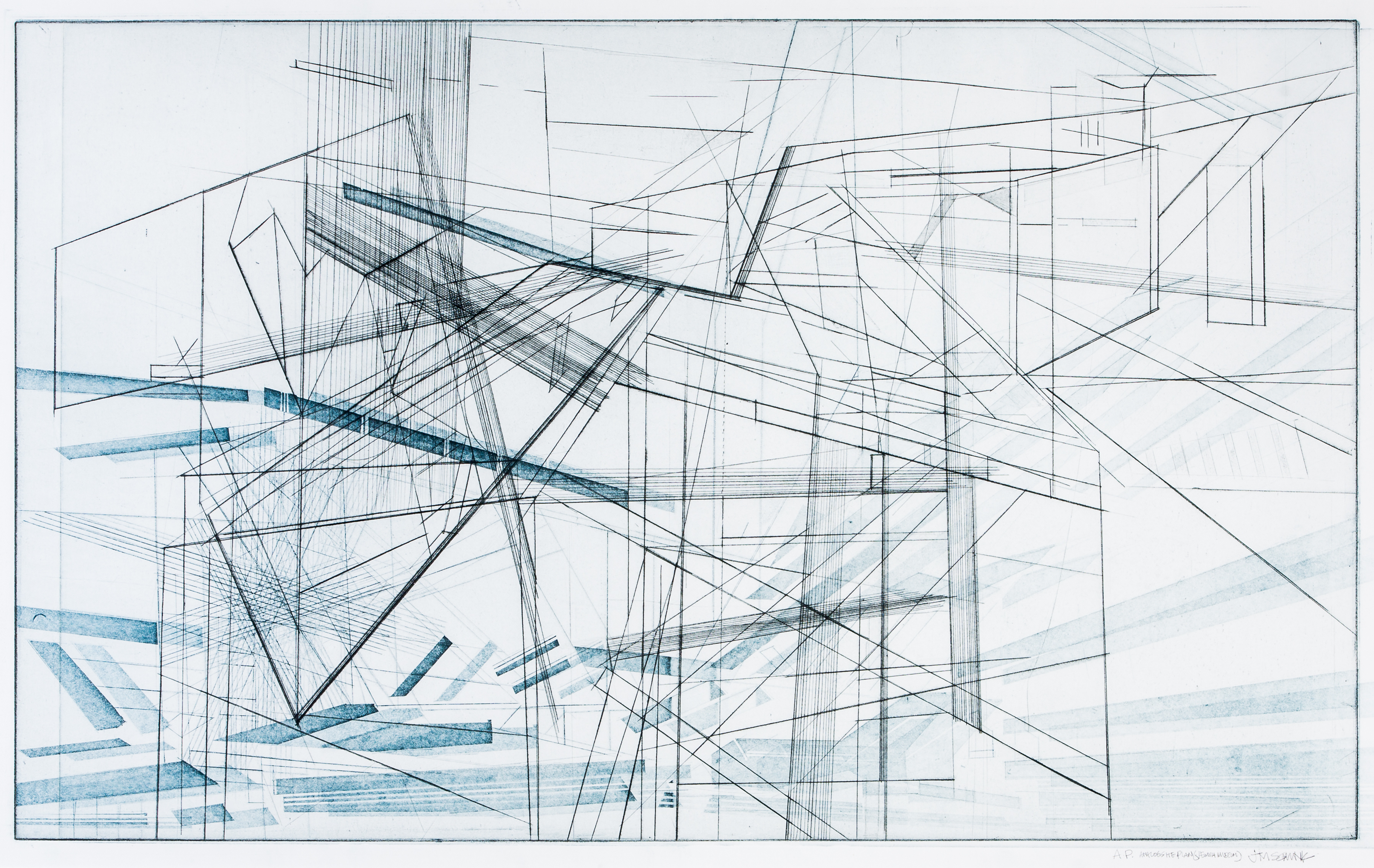 Analog Site Plan 3, engraving and etching on Revere paper, 24 x 36 in. 2016