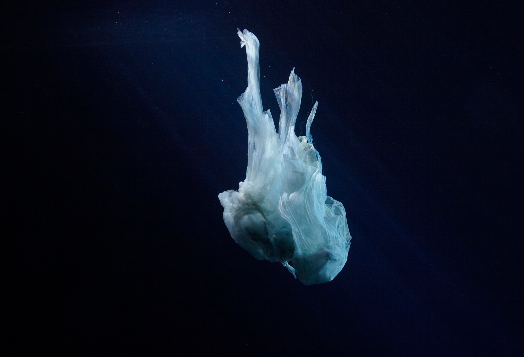 Elysian II2012C-type PhotographCollaboration with John Higginson at Pinewood Studios UKEdition of 340" x 30"