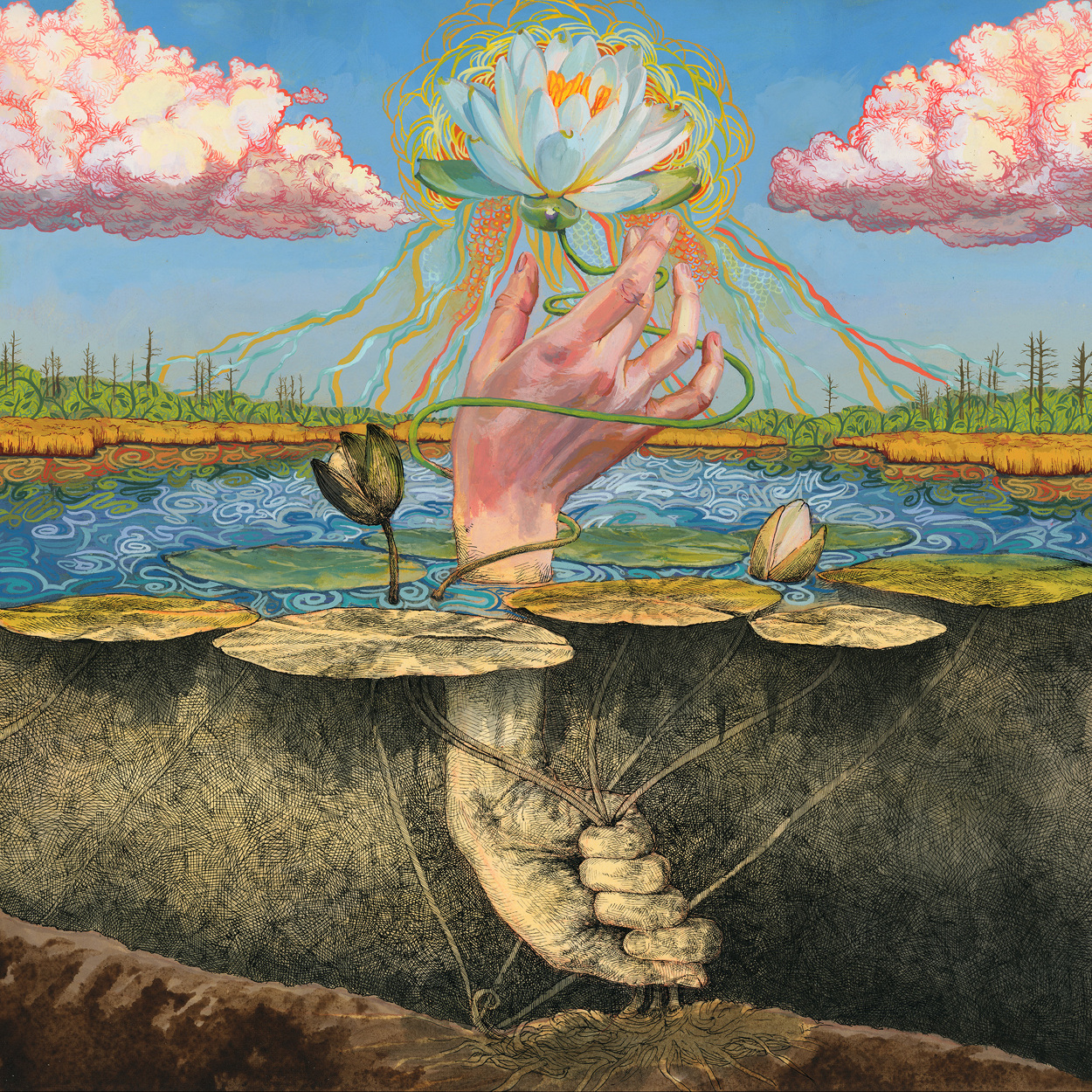 Cover art for Moon Tooth's 2022 release, Phototroph, out on Pure Noise Records