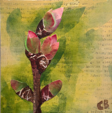 Spring Shoots No. 3 2015  Mixed media on board 8” x 8”