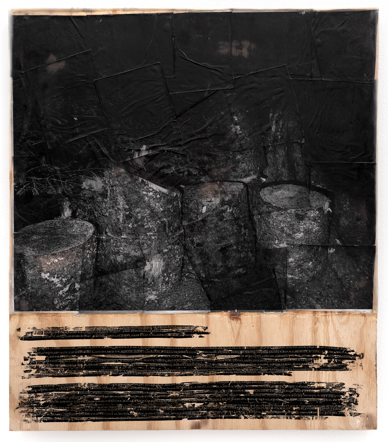 untitled (stumps), 25x32" panel with silver gelatin prints on expired paper, typewriter ink, encaustic