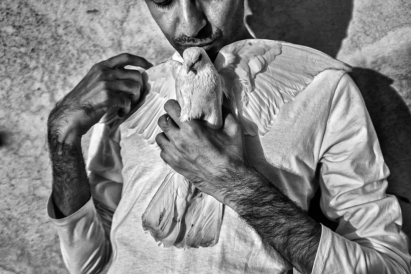 Free from freedom 1 © Farshid Tighehsaz
