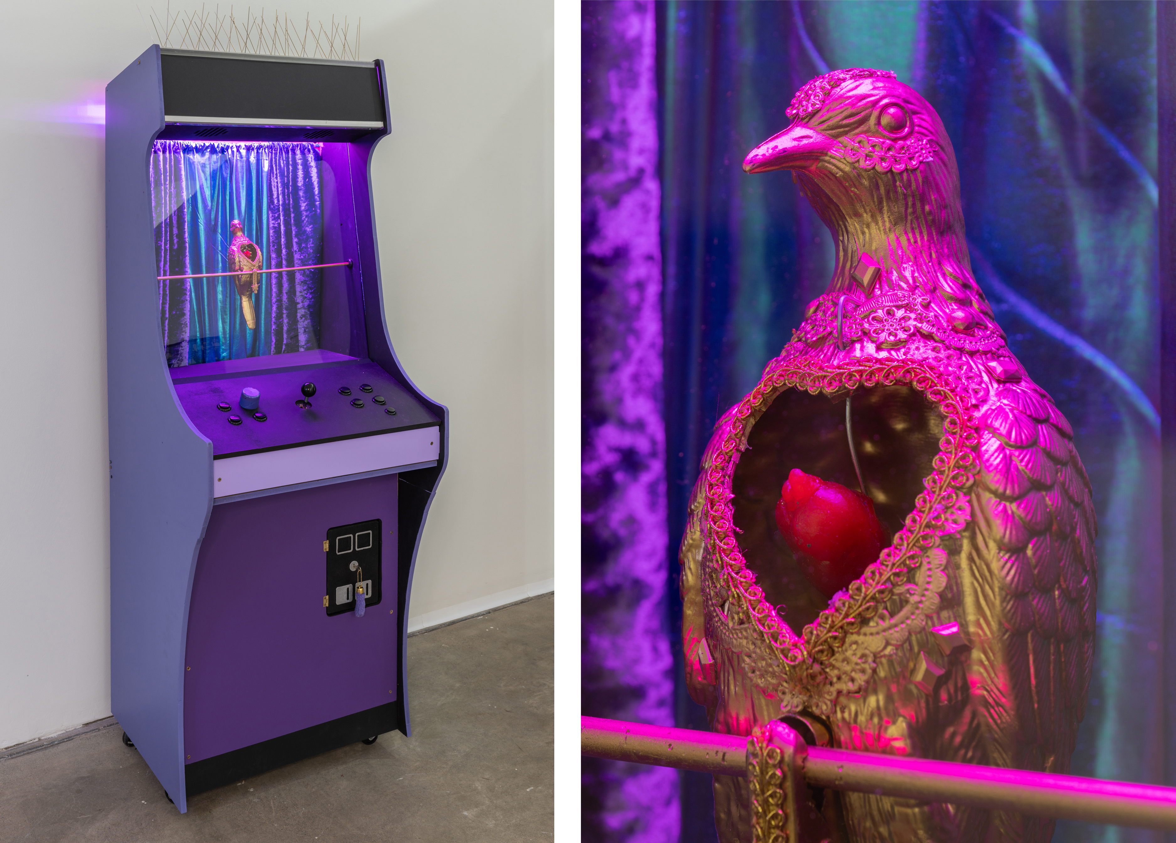 Sacred Heart of Martha, with World’s Largest Carolina Parakeet (scale model). Martha’s heart was left intact during her autopsy out of reverence for her status as the last passenger pigeon, and the Carolina Parakeet was the only parrot species native to the US. The last-known individuals of both species died at the Cincinnati Zoo in the 1910’s. Pigeon decoy, pigeon spikes, wax heart.